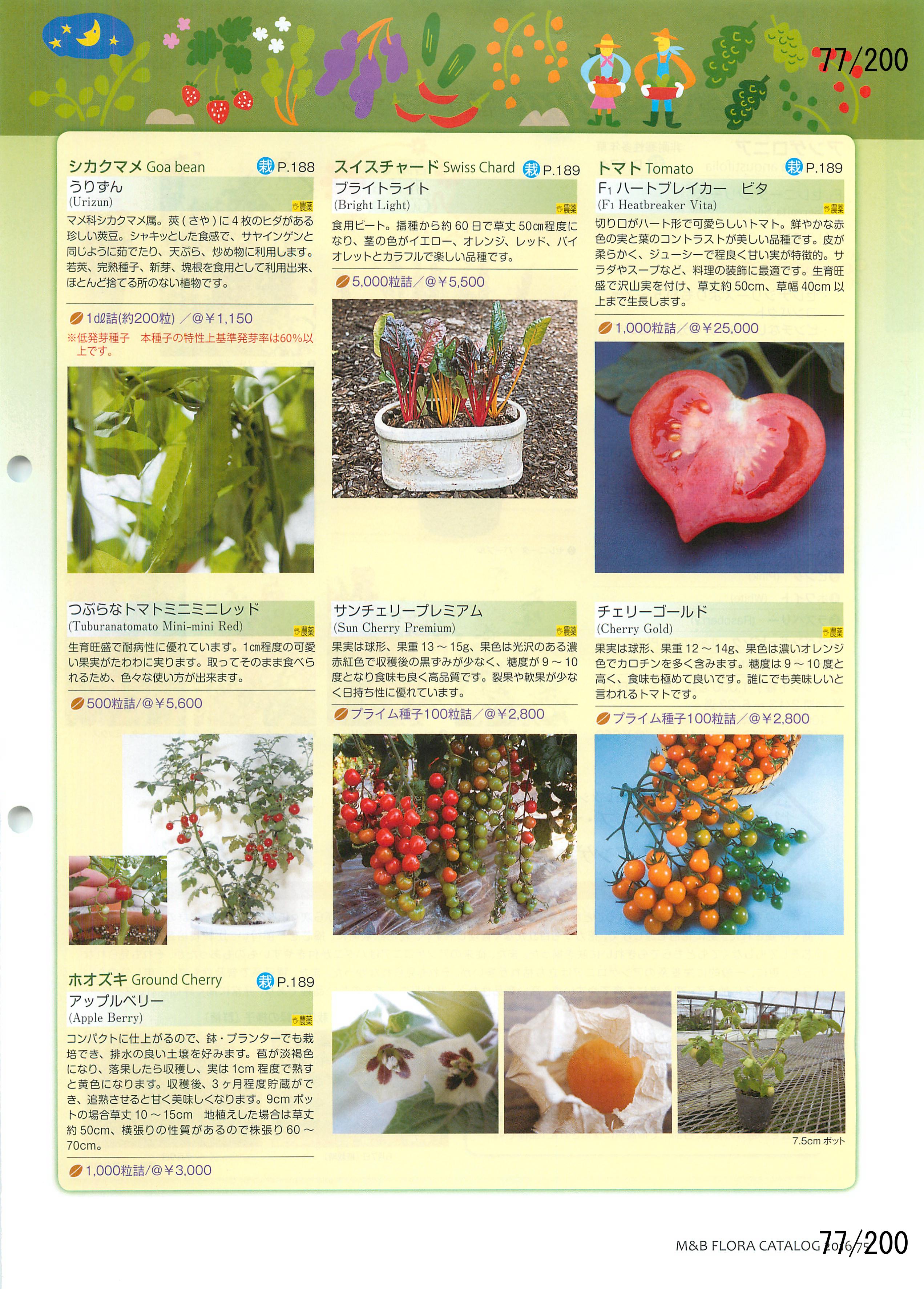 M&B Flora Vol.20F77y[W
