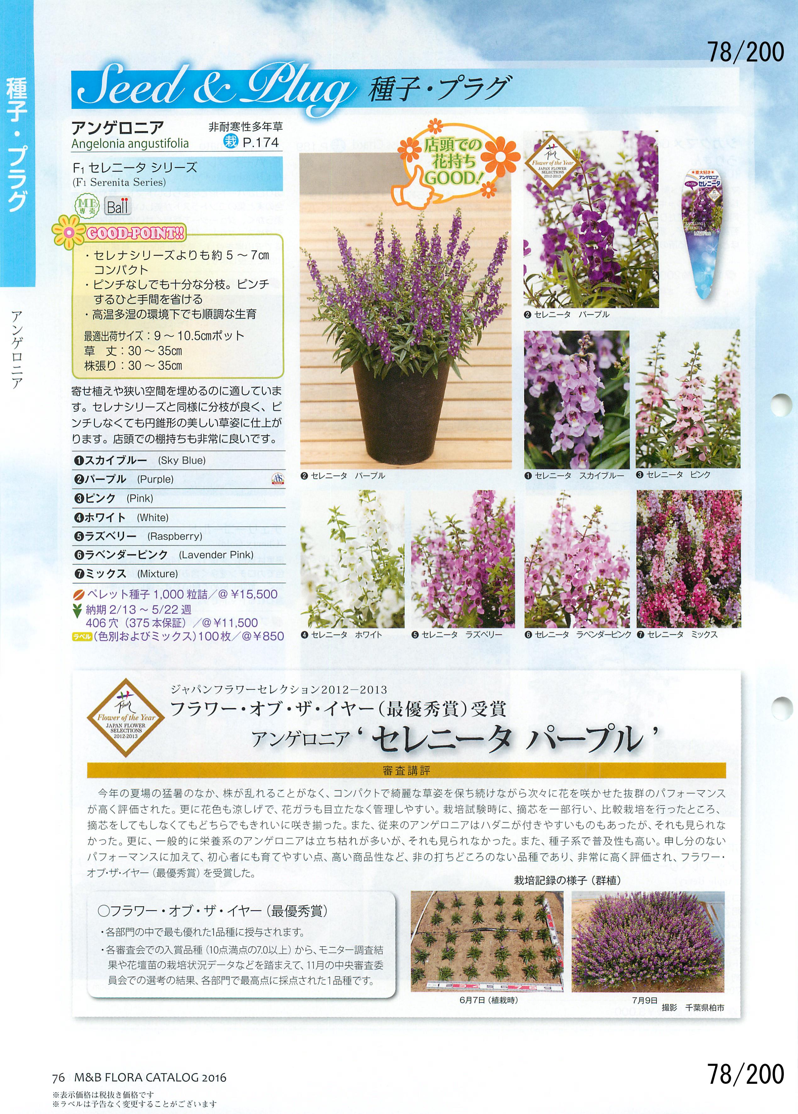 M&B Flora Vol.20F78y[W