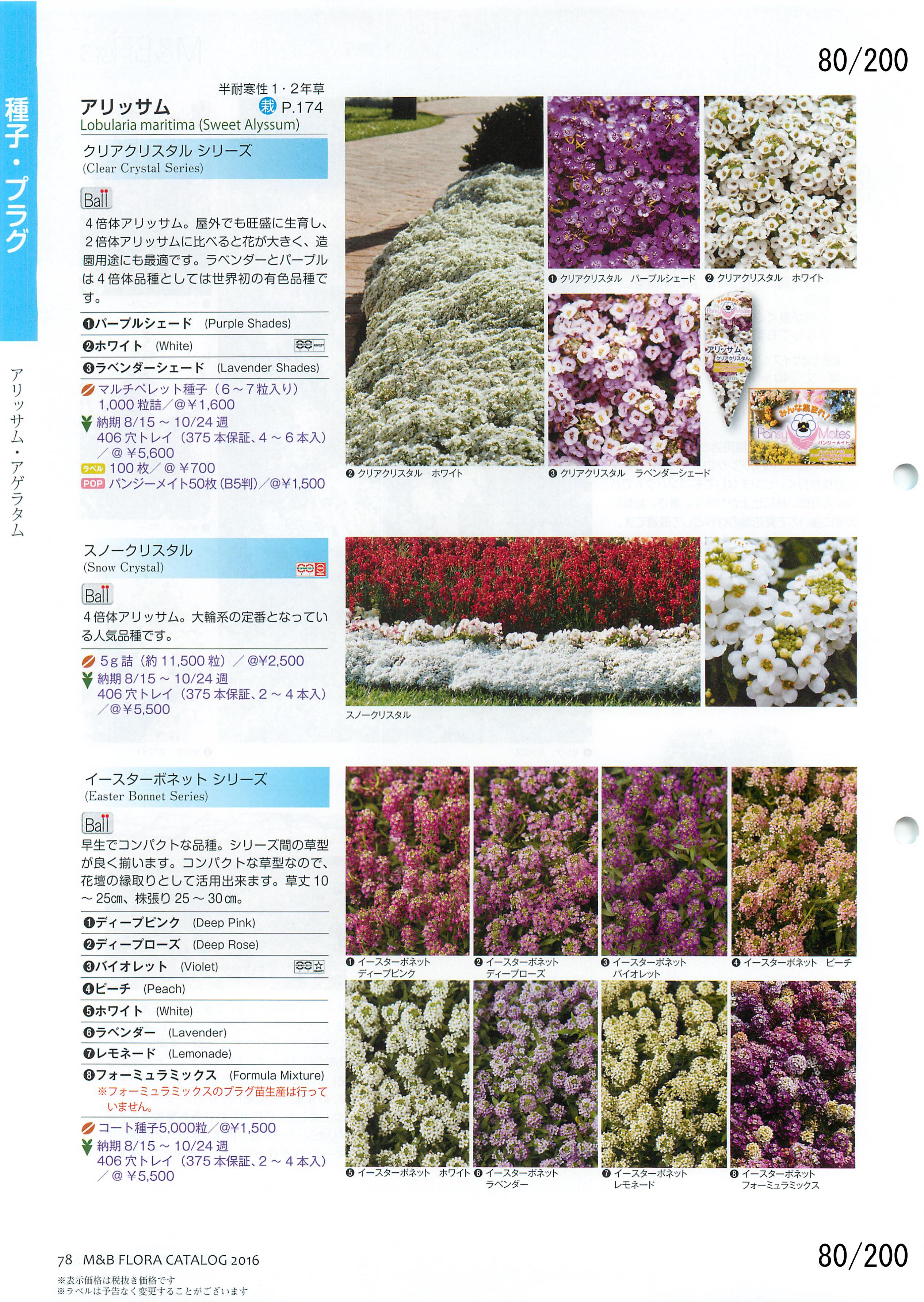 M&B Flora Vol.20F80y[W