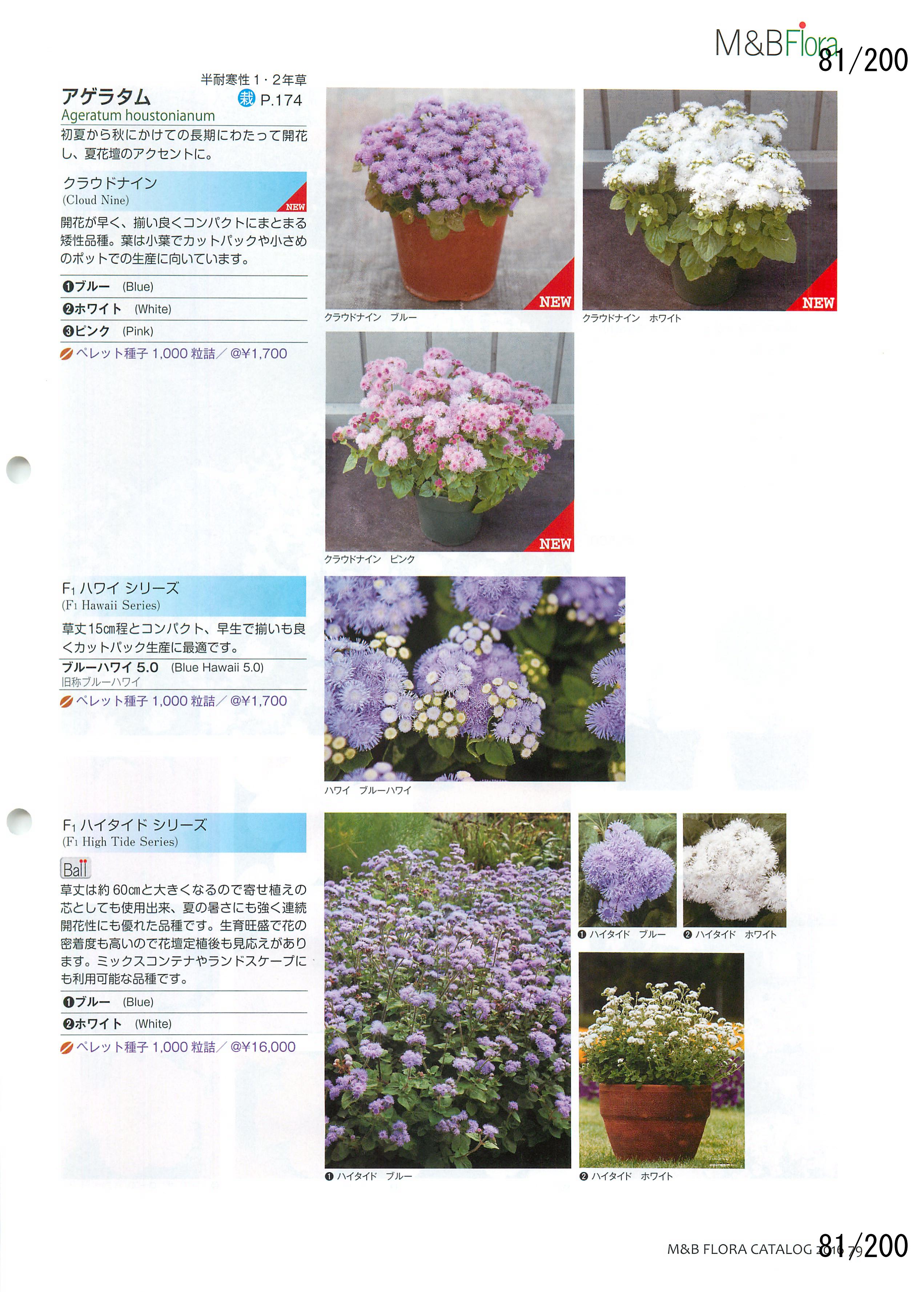 M&B Flora Vol.20F81y[W