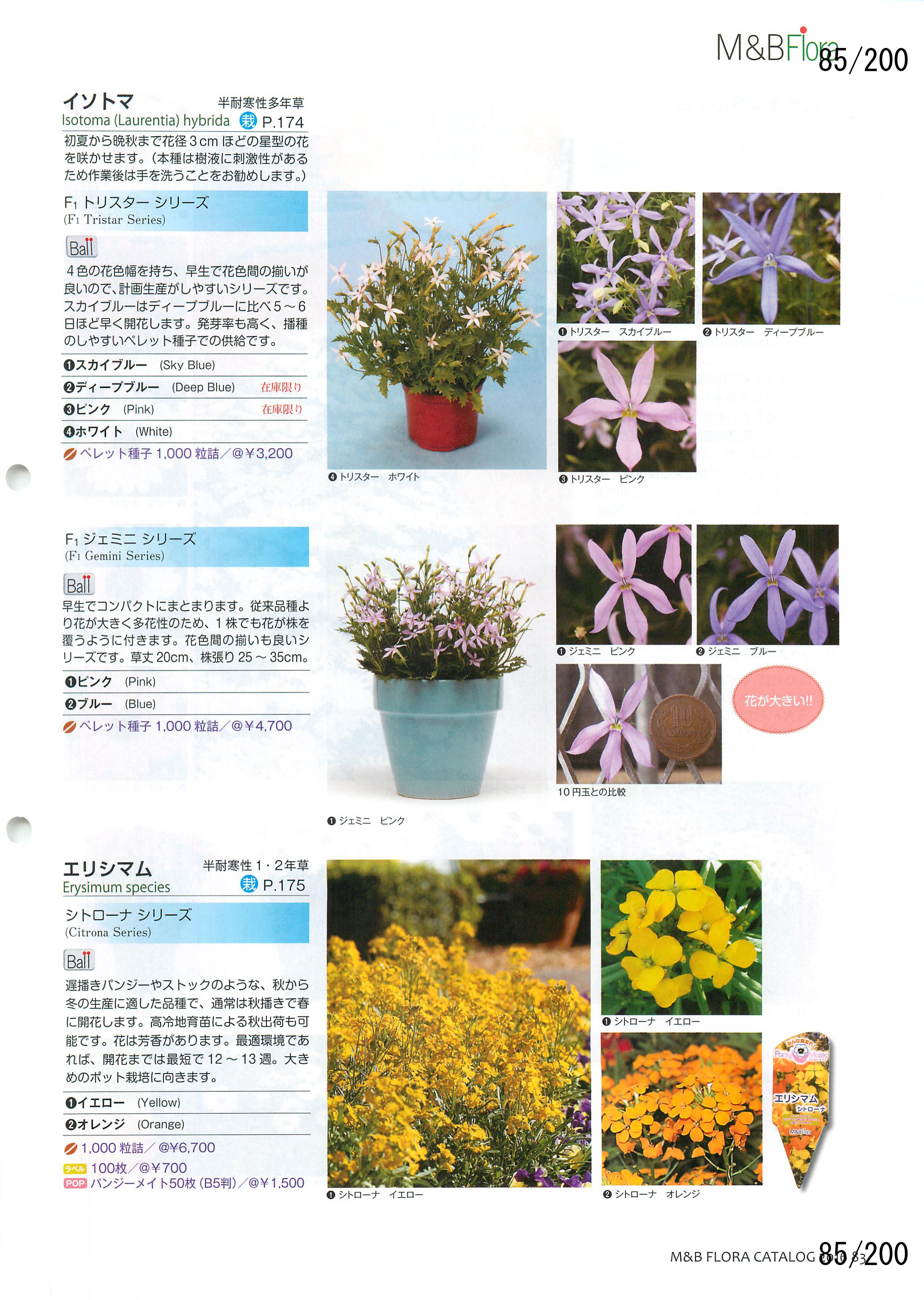 M&B Flora Vol.20F85y[W