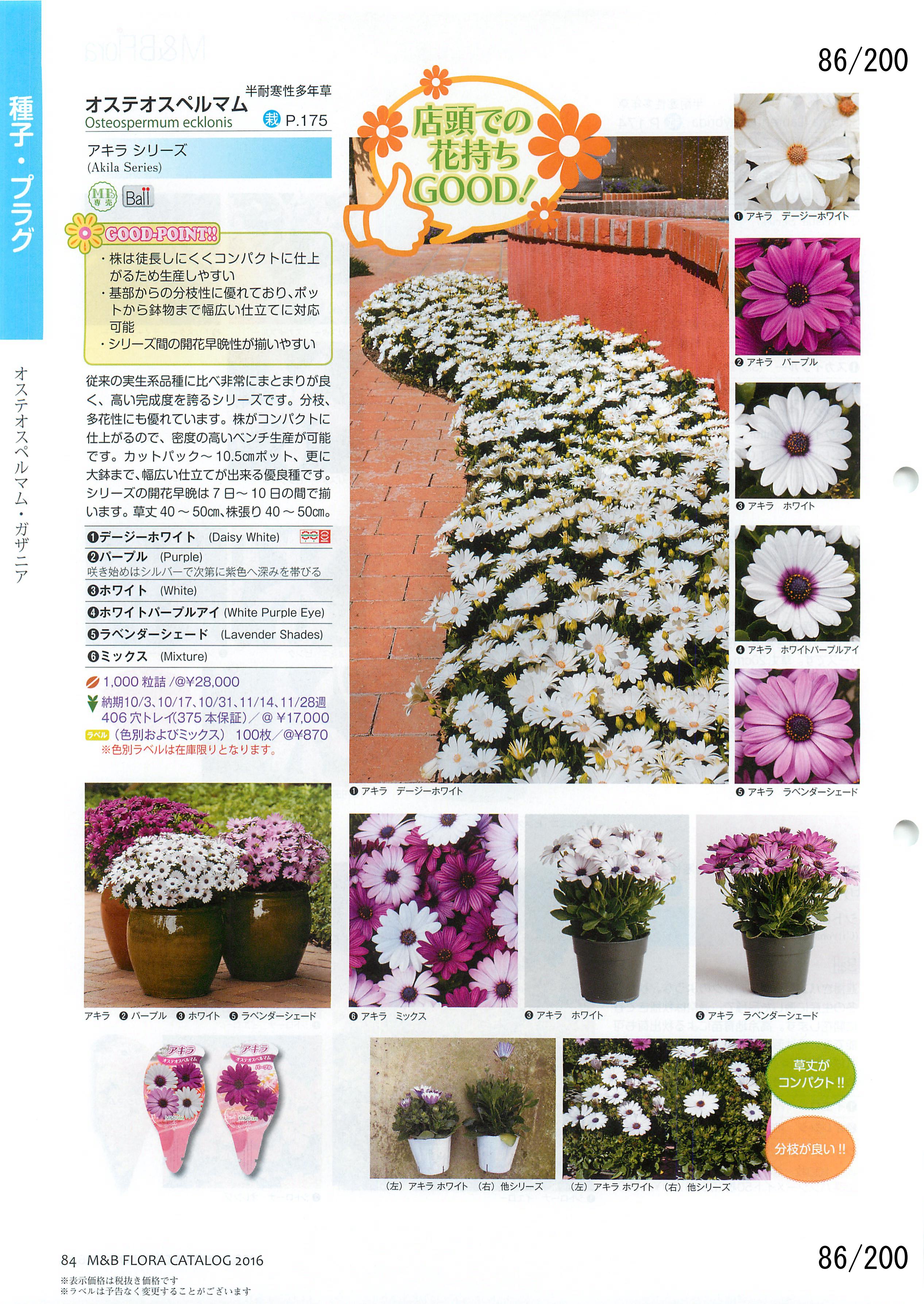M&B Flora Vol.20F86y[W