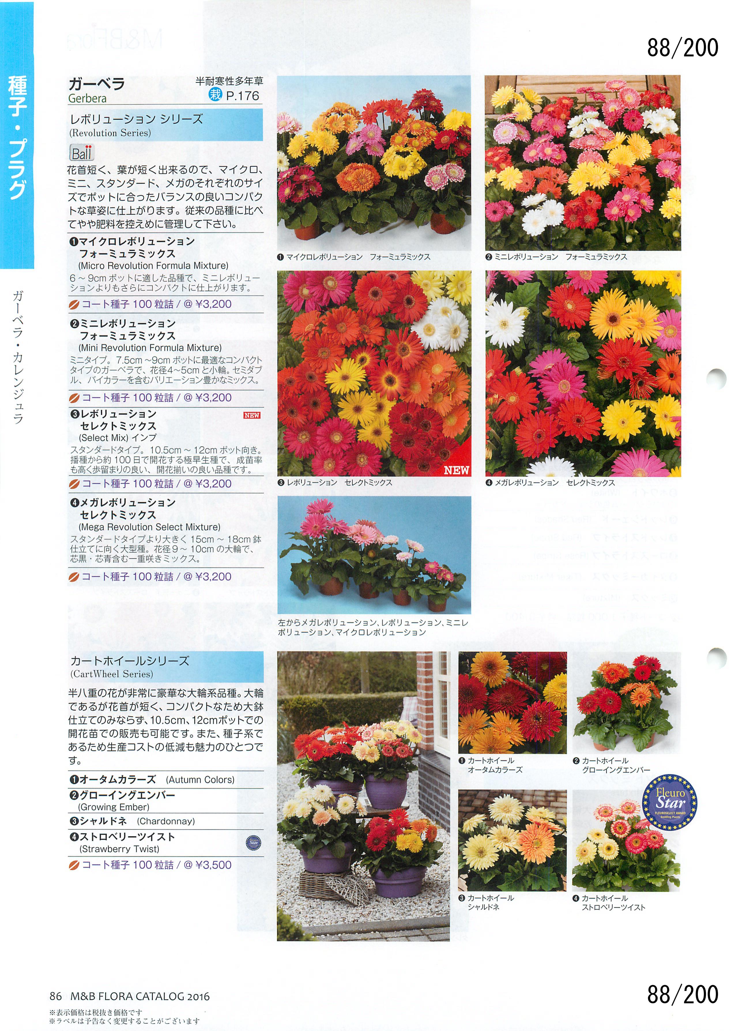 M&B Flora Vol.20F88y[W