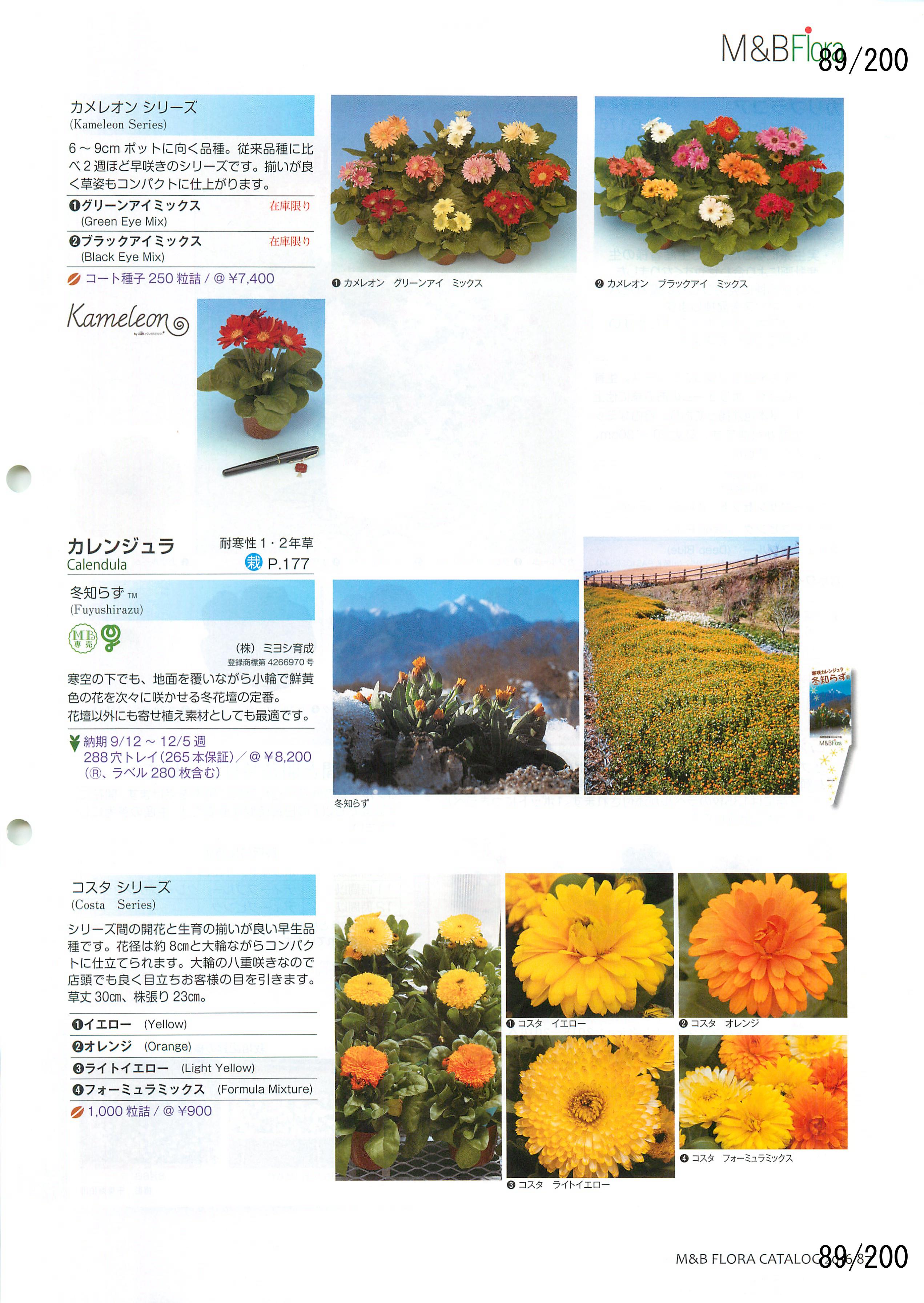 M&B Flora Vol.20F89y[W
