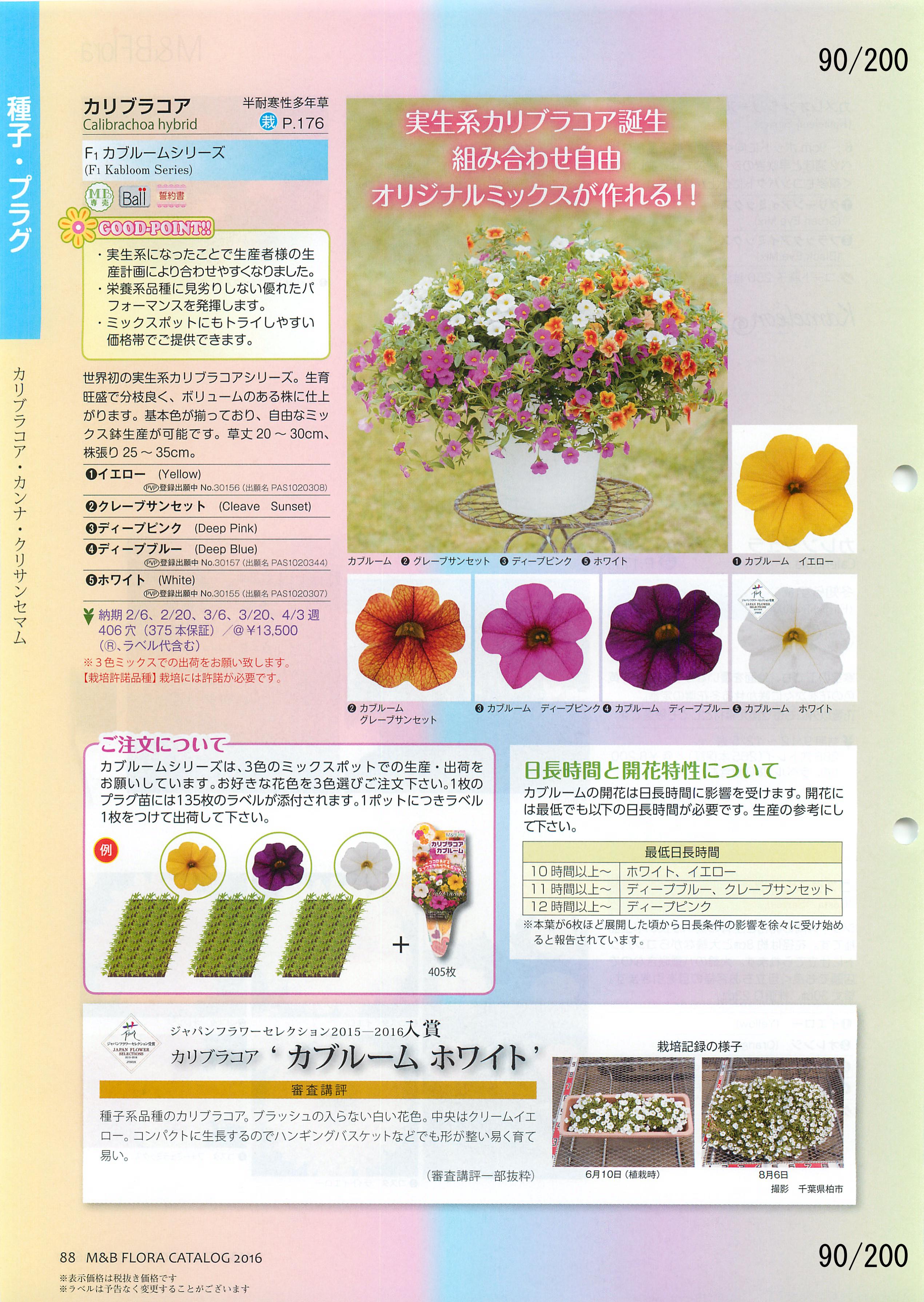 M&B Flora Vol.20F90y[W
