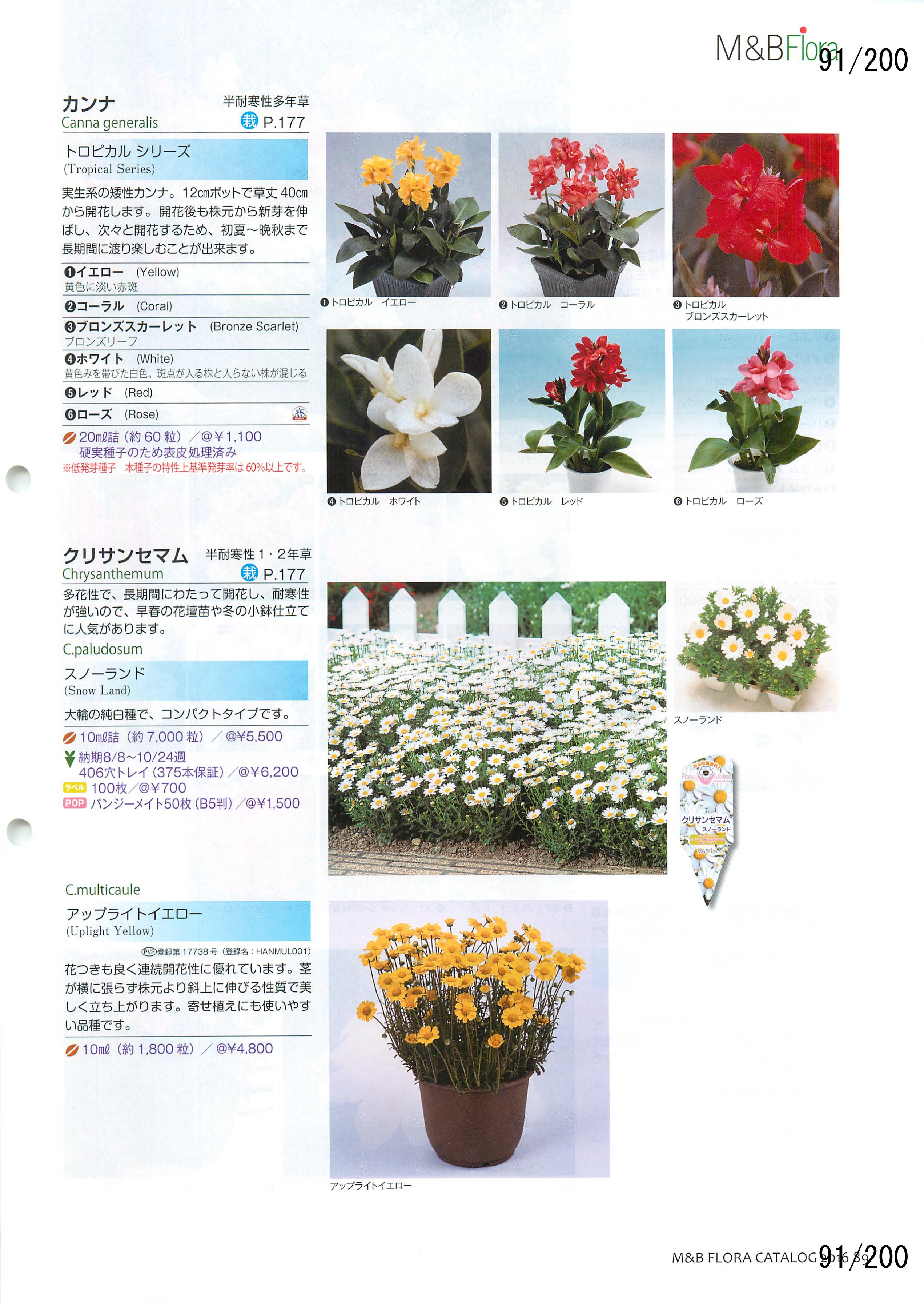 M&B Flora Vol.20F91y[W