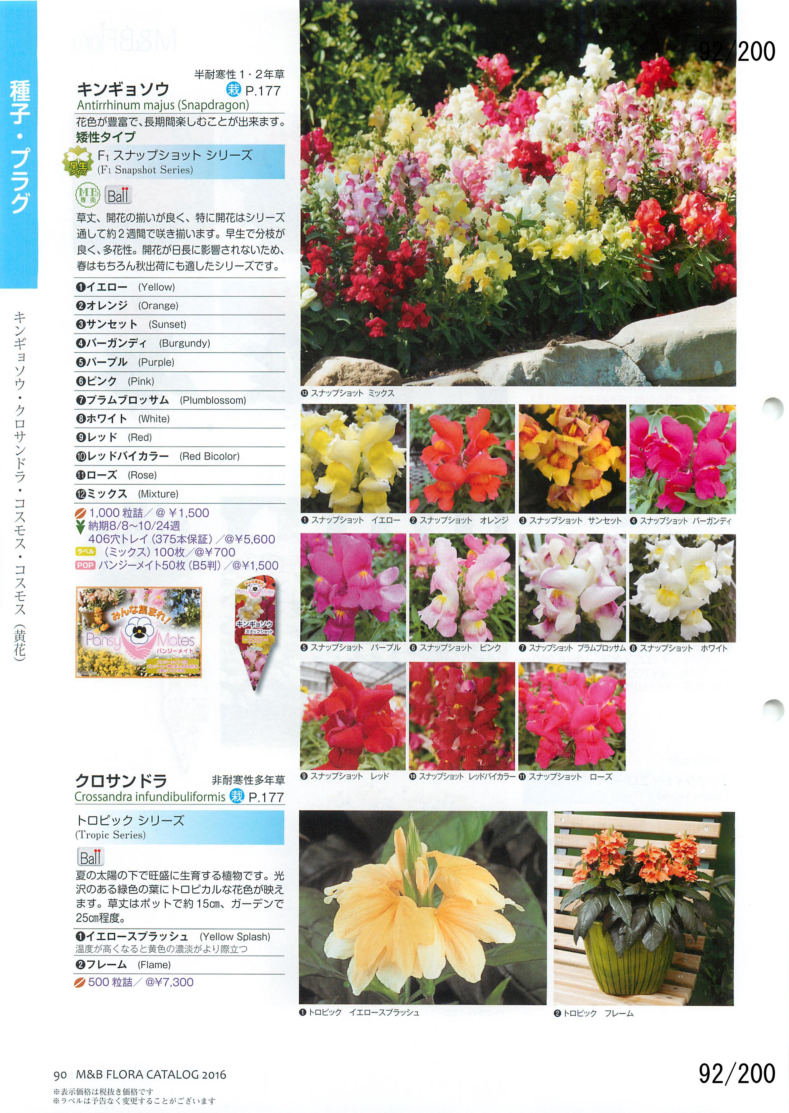 M&B Flora Vol.20F92y[W