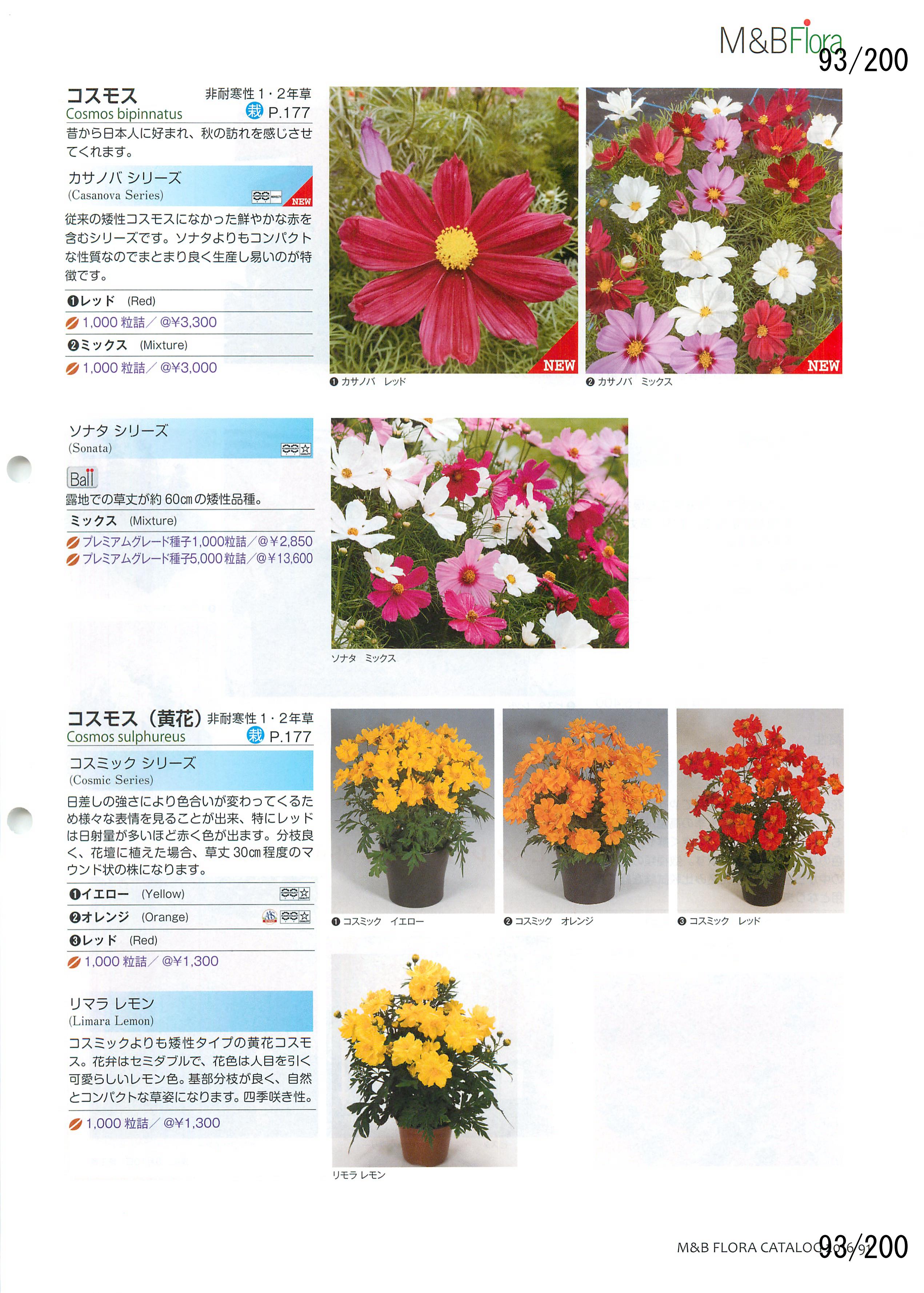 M&B Flora Vol.20F93y[W