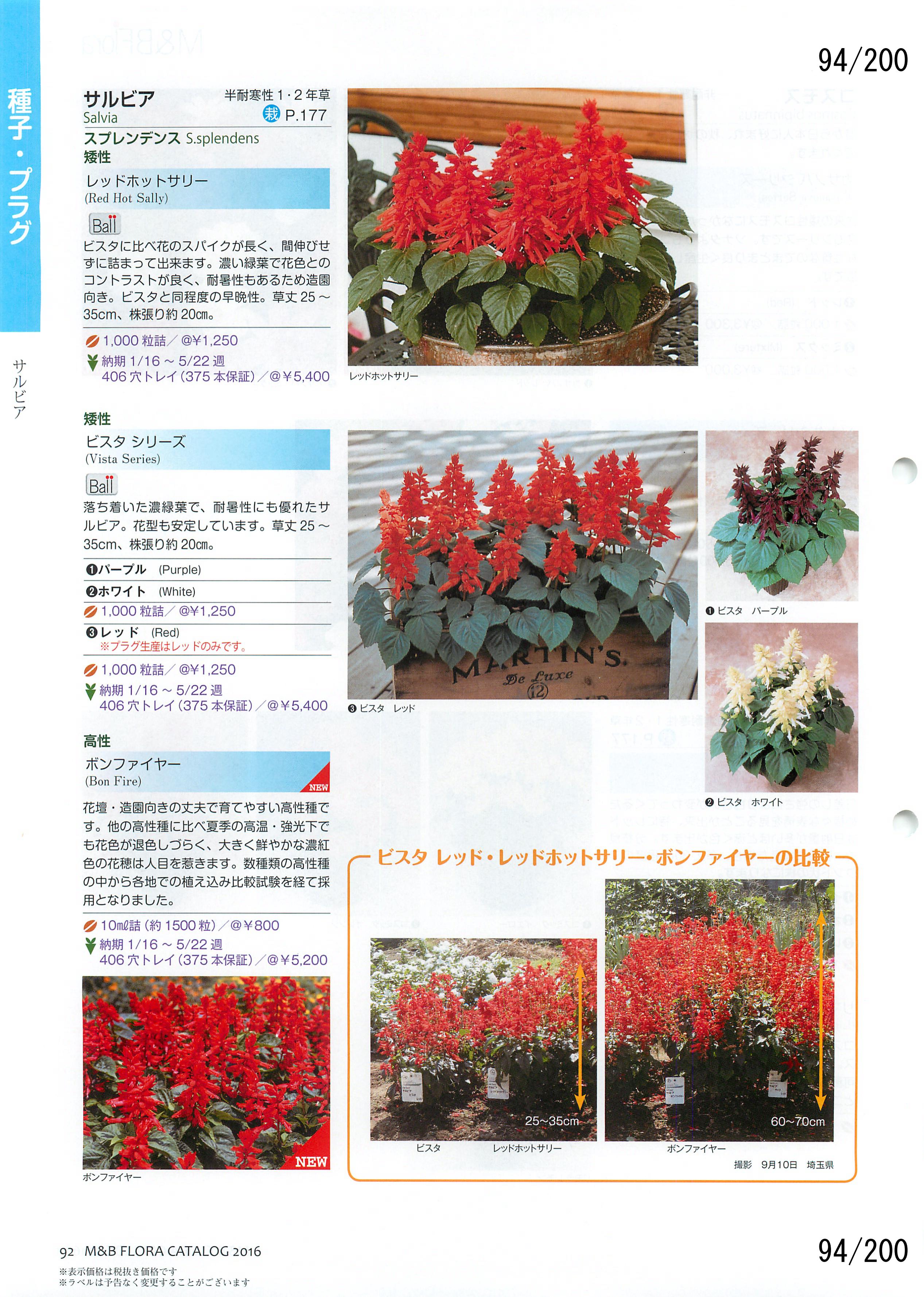M&B Flora Vol.20F94y[W