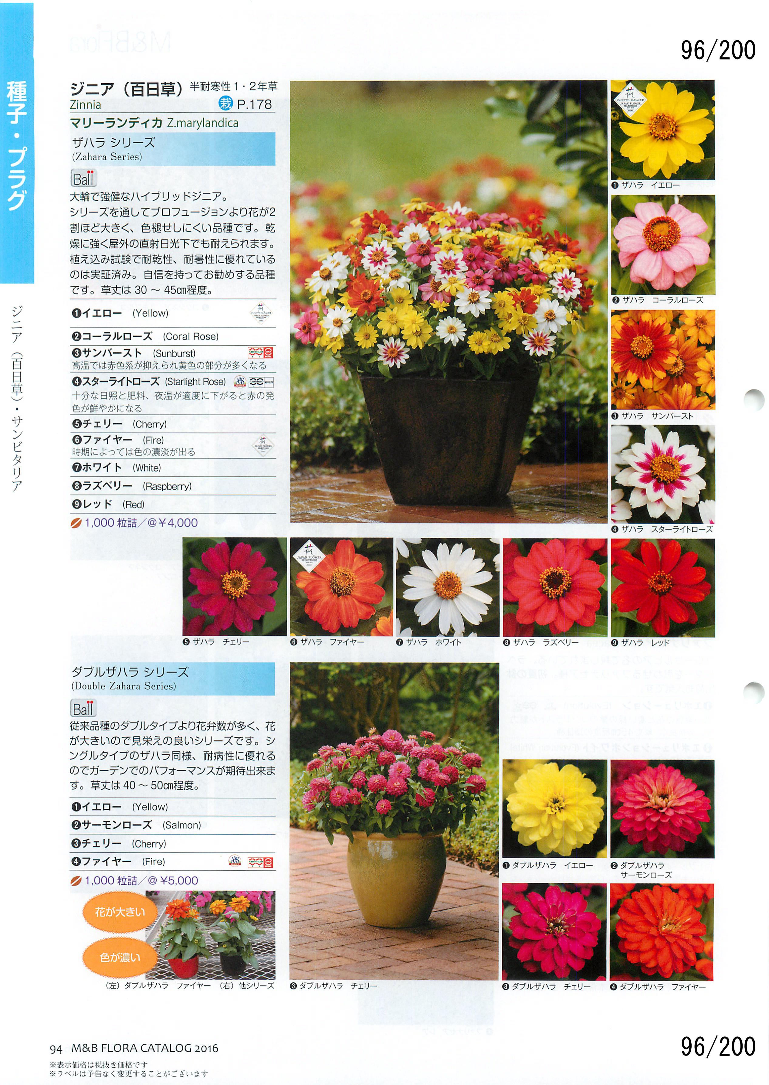 M&B Flora Vol.20F96y[W