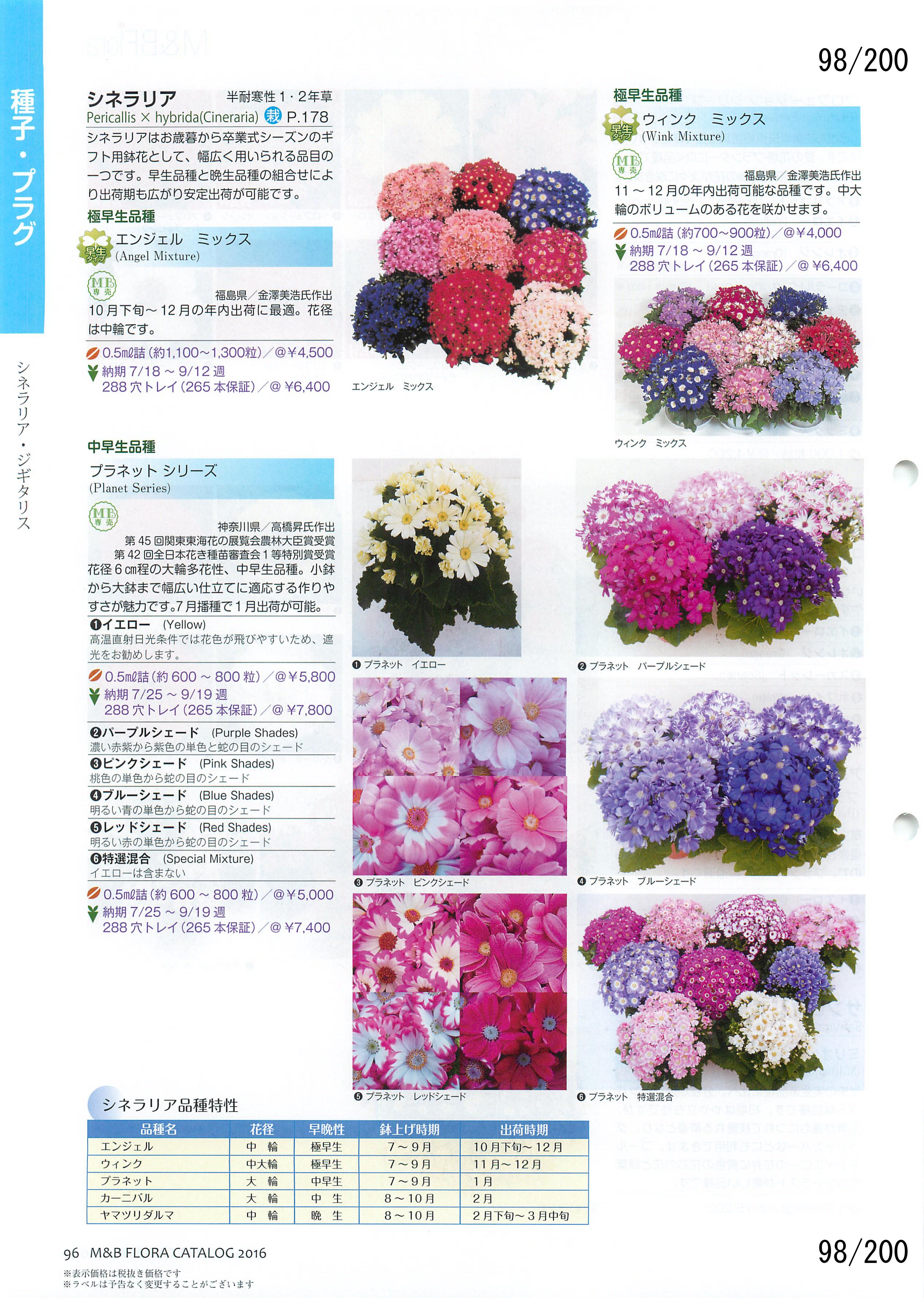 M&B Flora Vol.20F98y[W