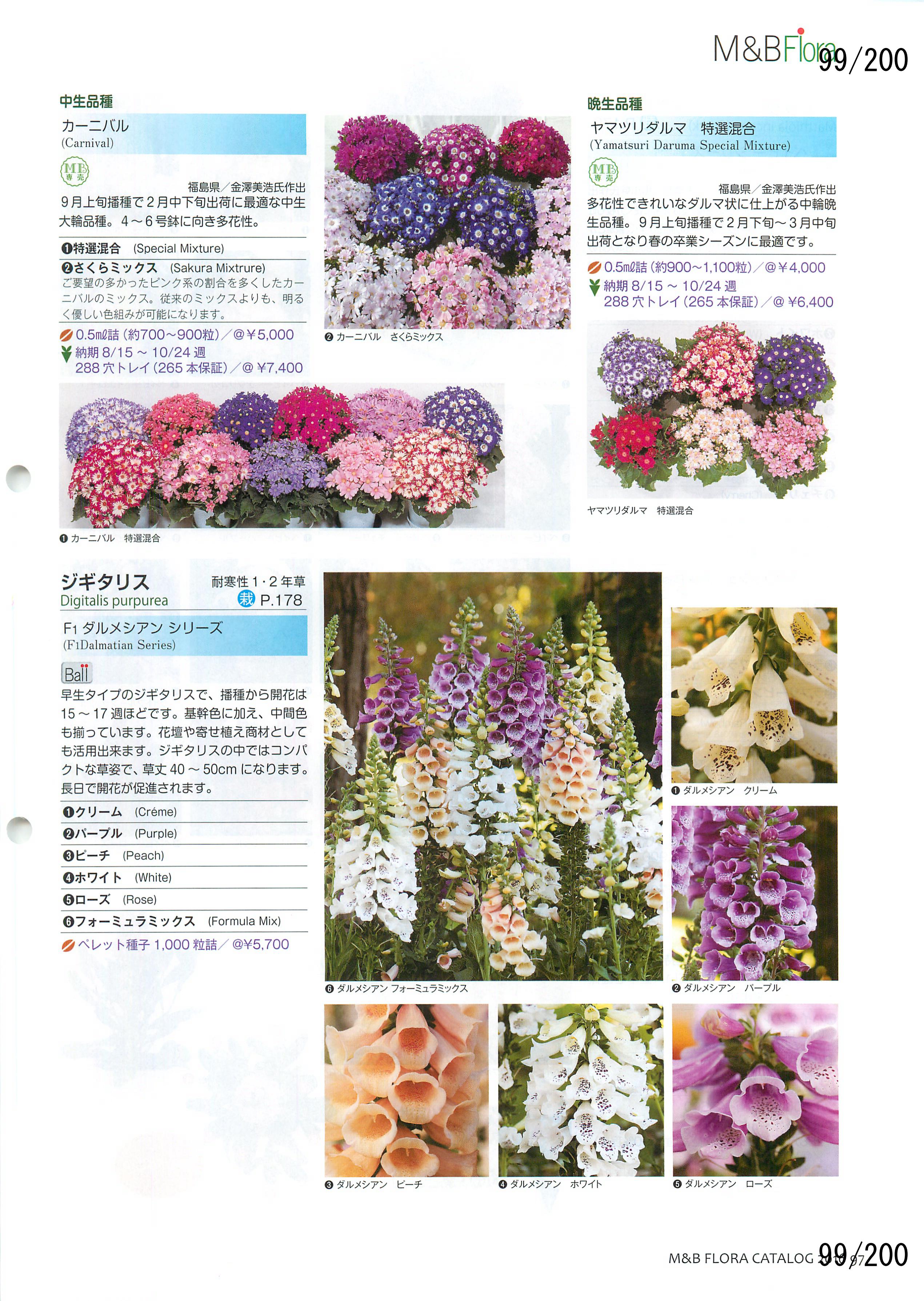 M&B Flora Vol.20F99y[W