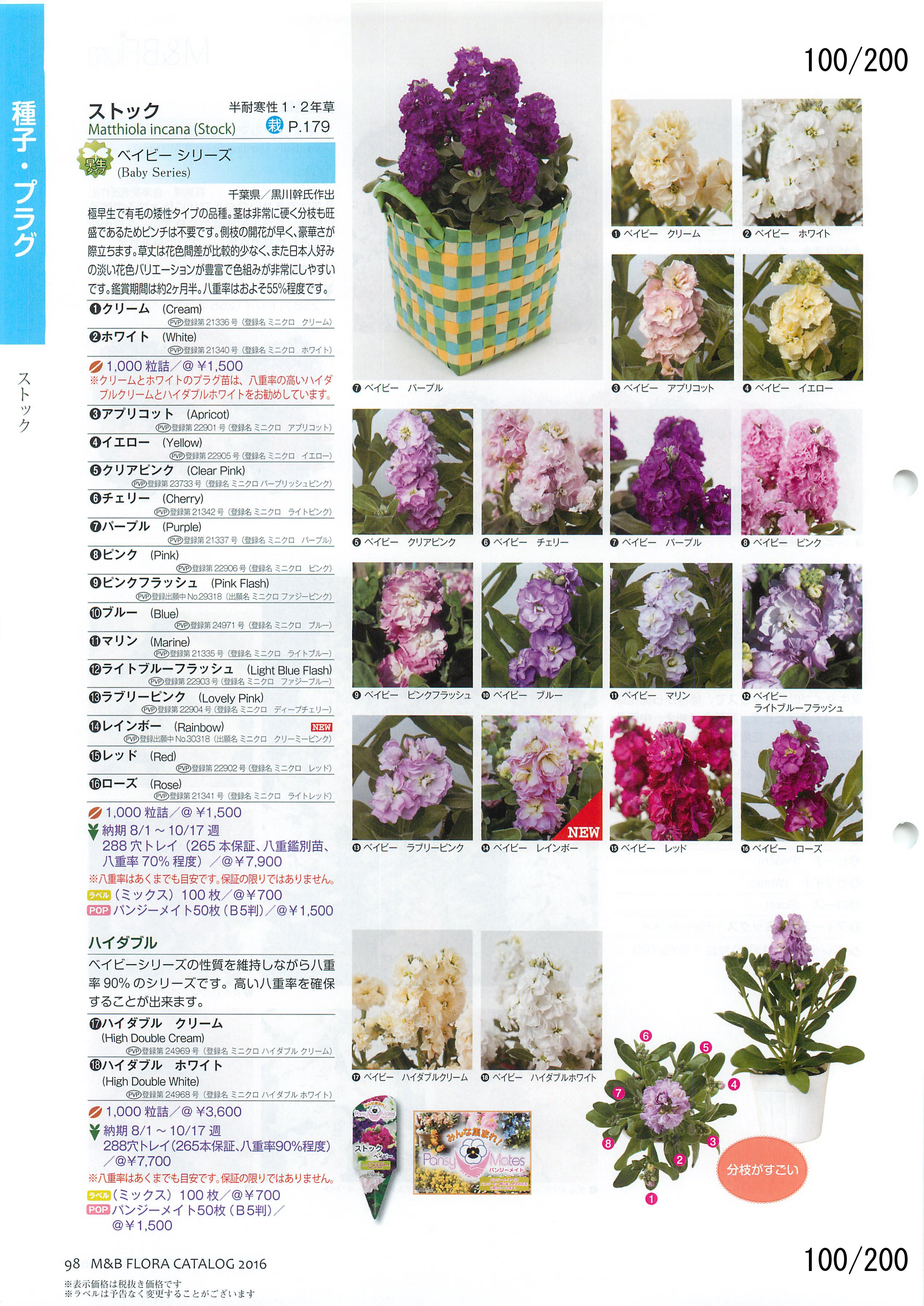 M&B Flora Vol.20F100y[W