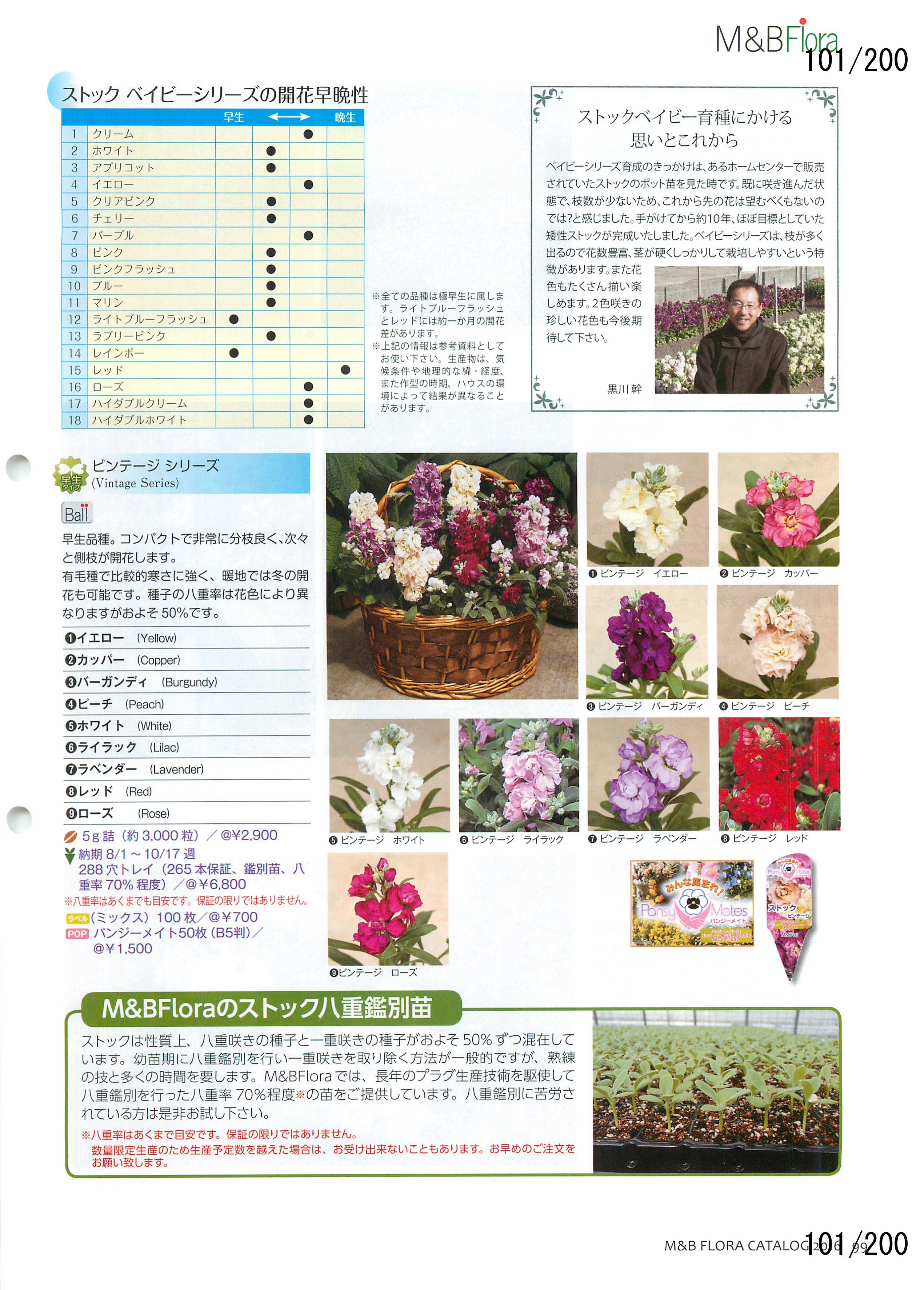 M&B Flora Vol.20F101y[W