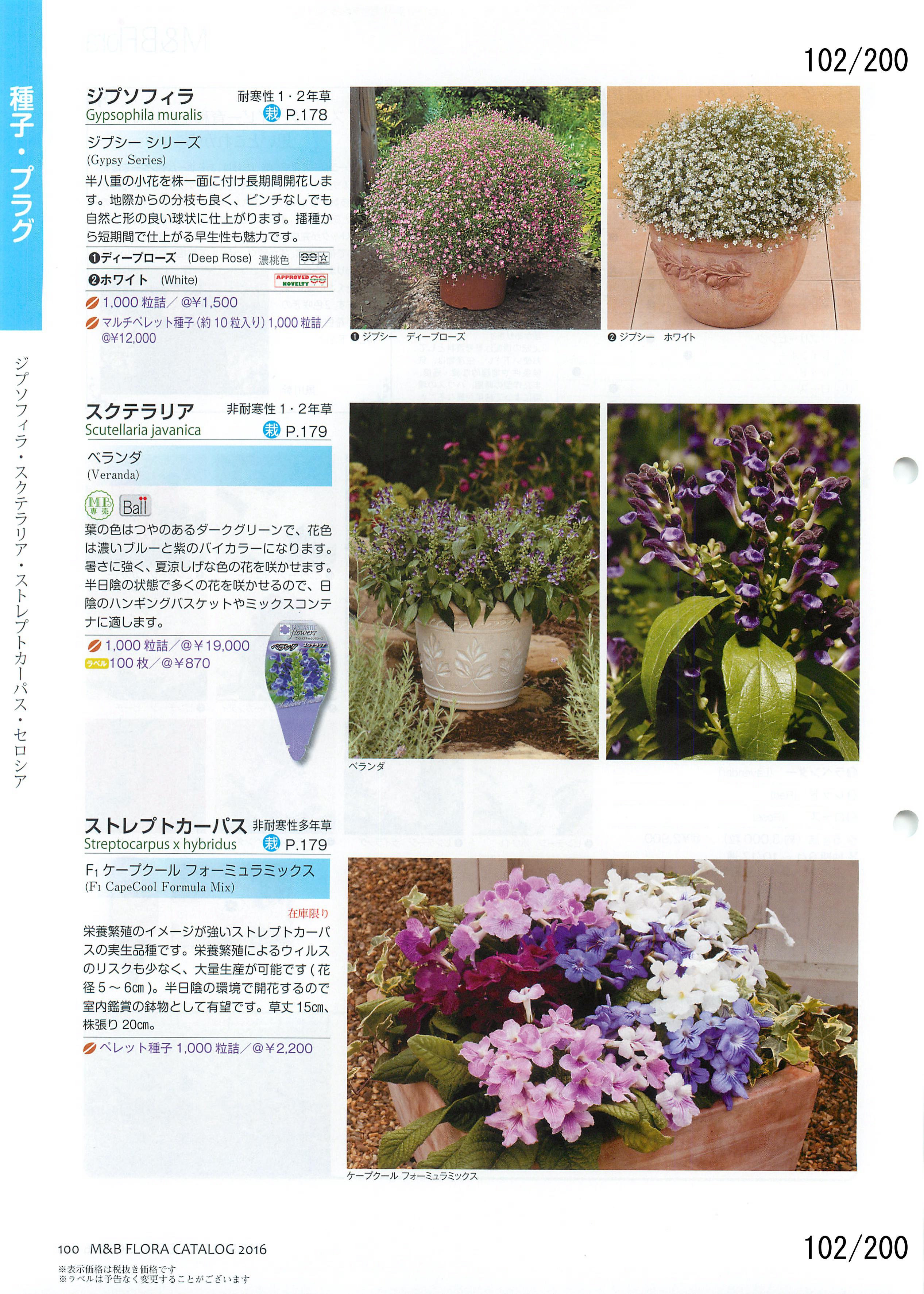 M&B Flora Vol.20F102y[W