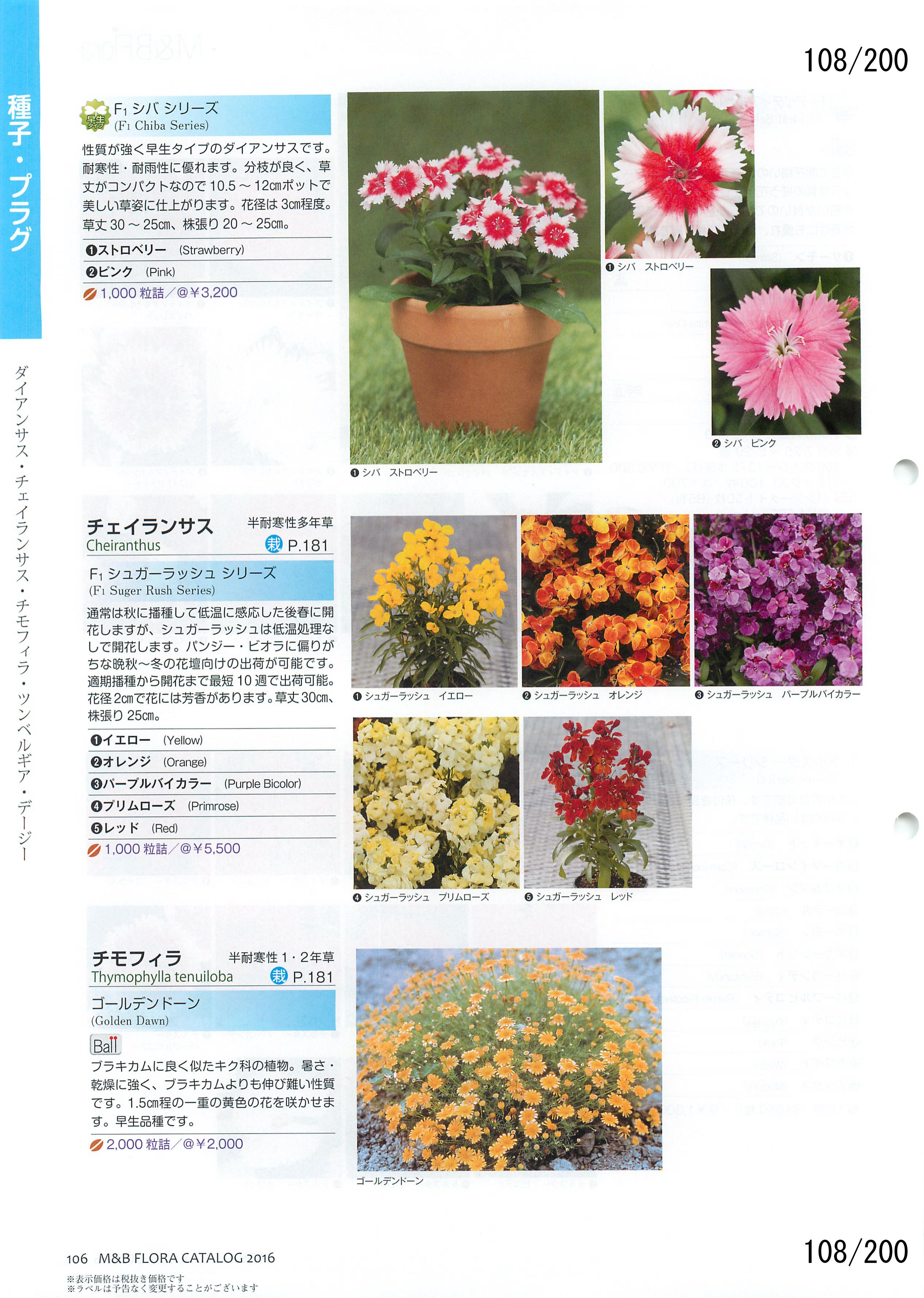 M&B Flora Vol.20F108y[W