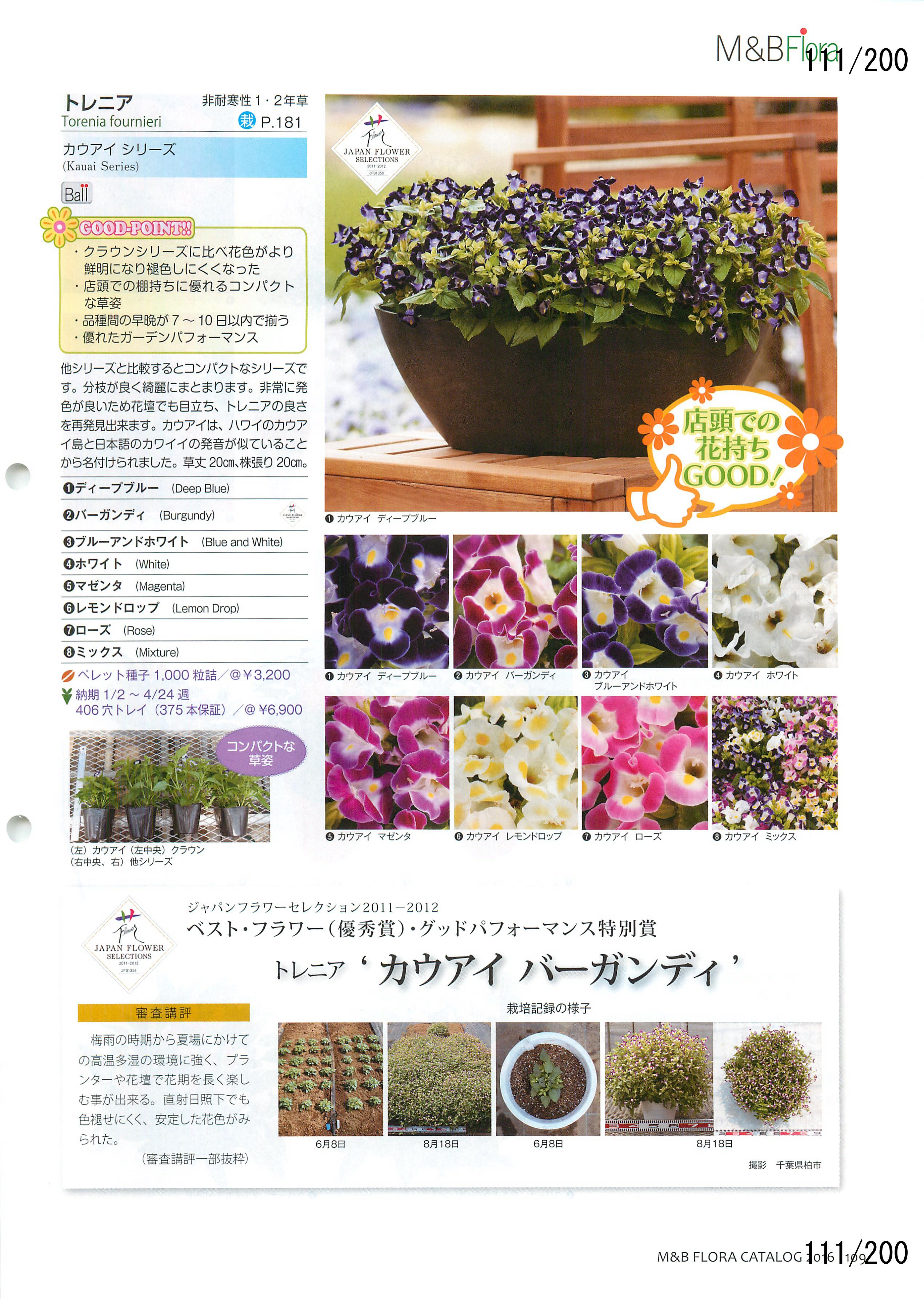 M&B Flora Vol.20F111y[W