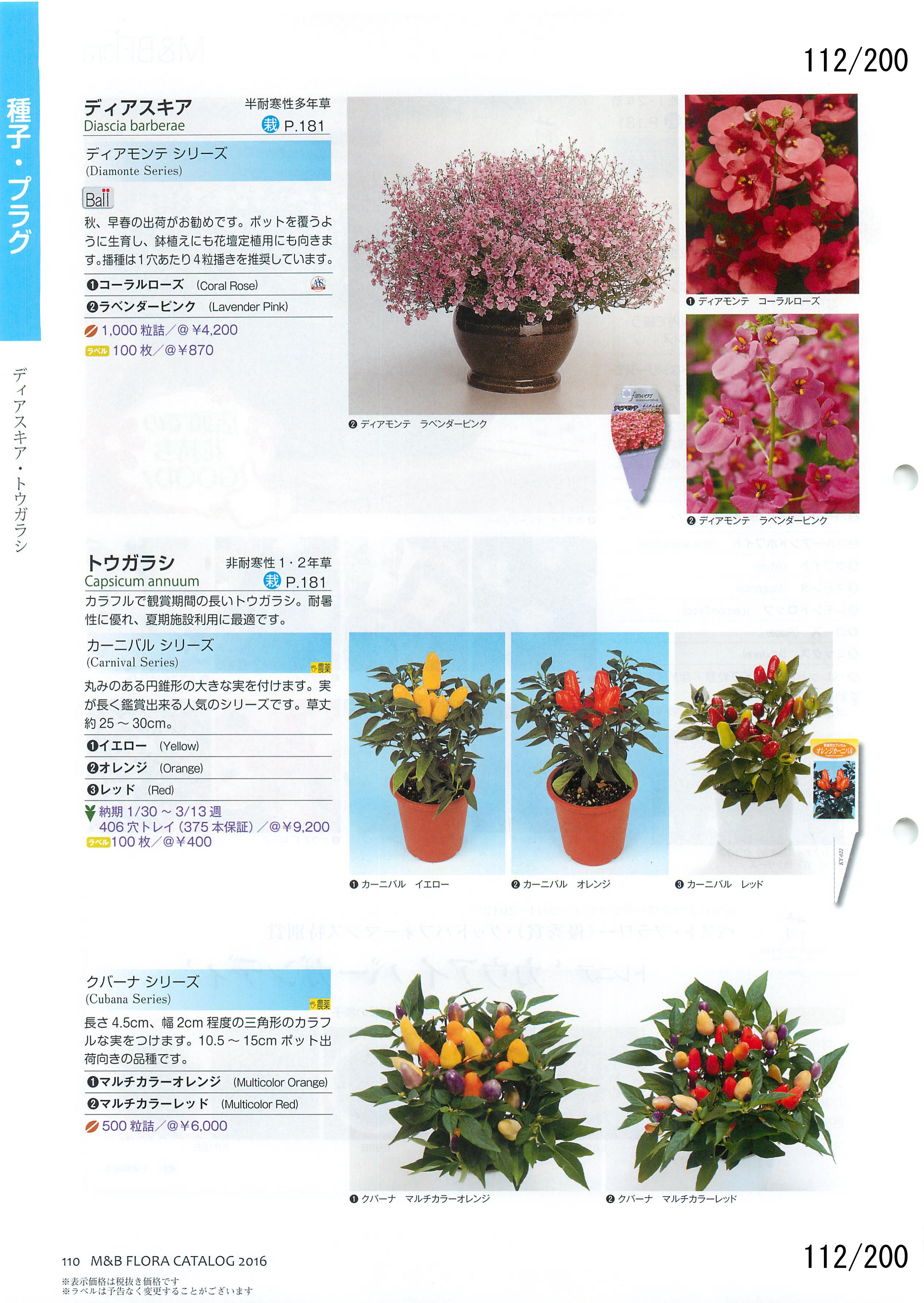 M&B Flora Vol.20F112y[W