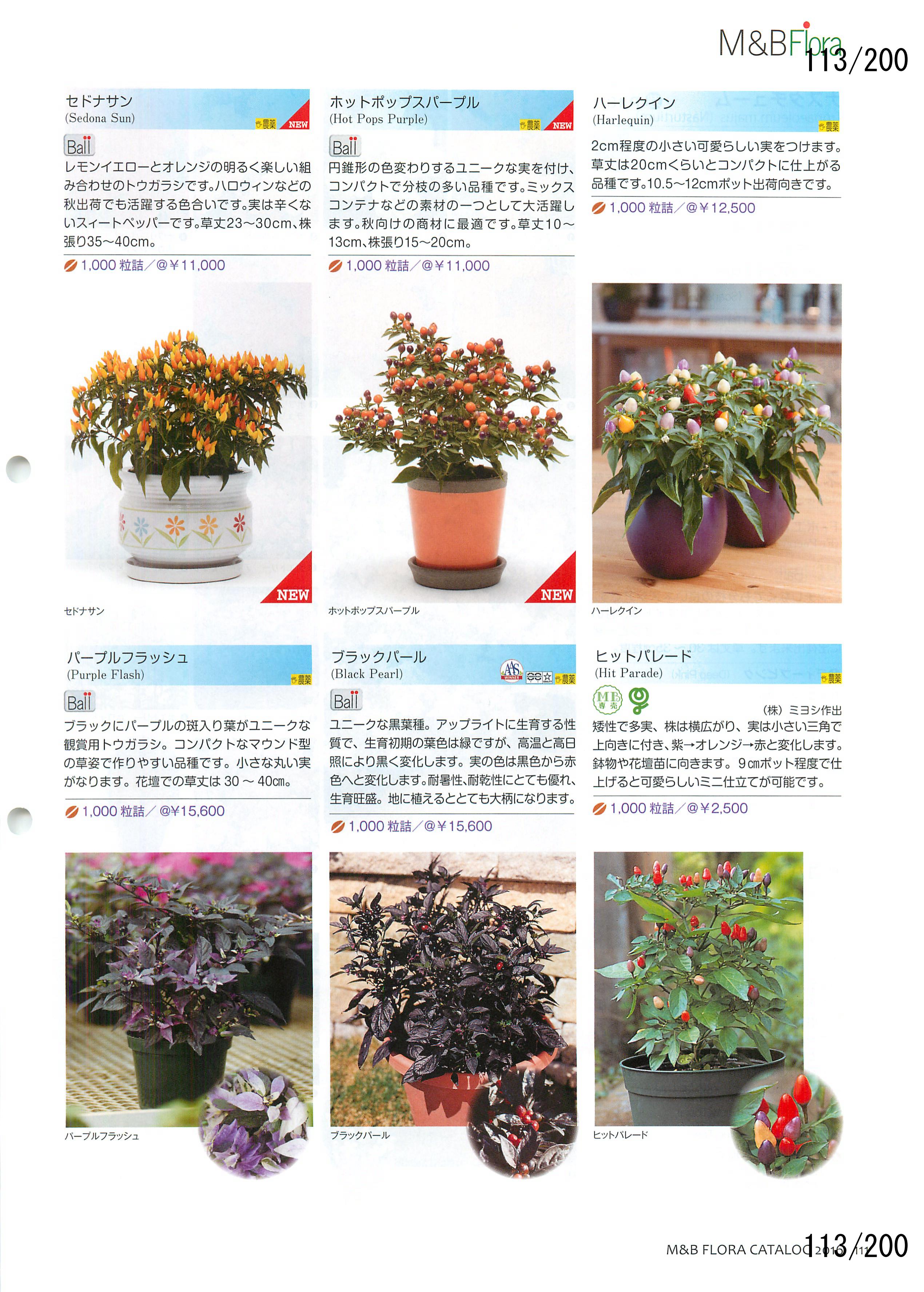 M&B Flora Vol.20F113y[W