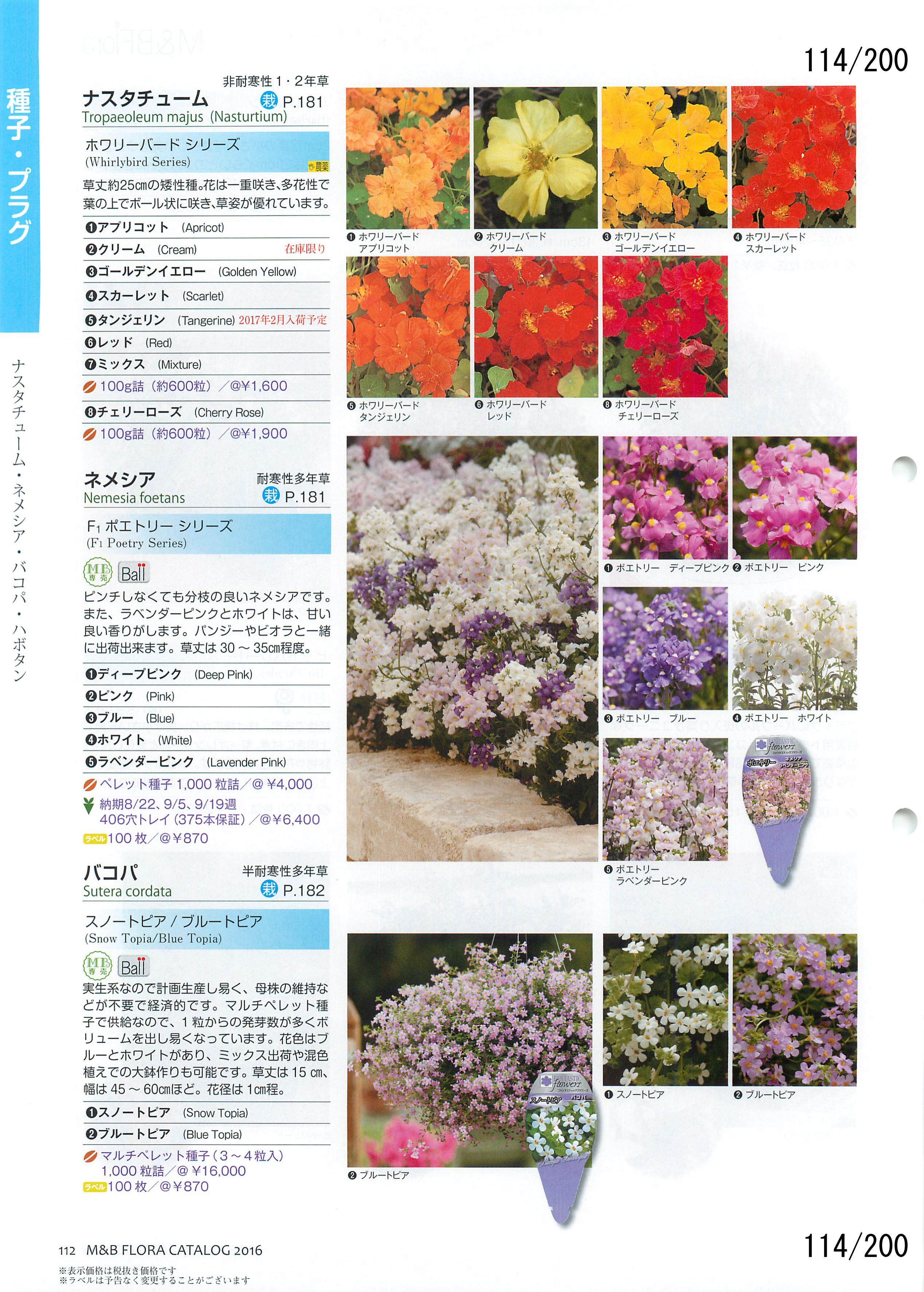 M&B Flora Vol.20F114y[W