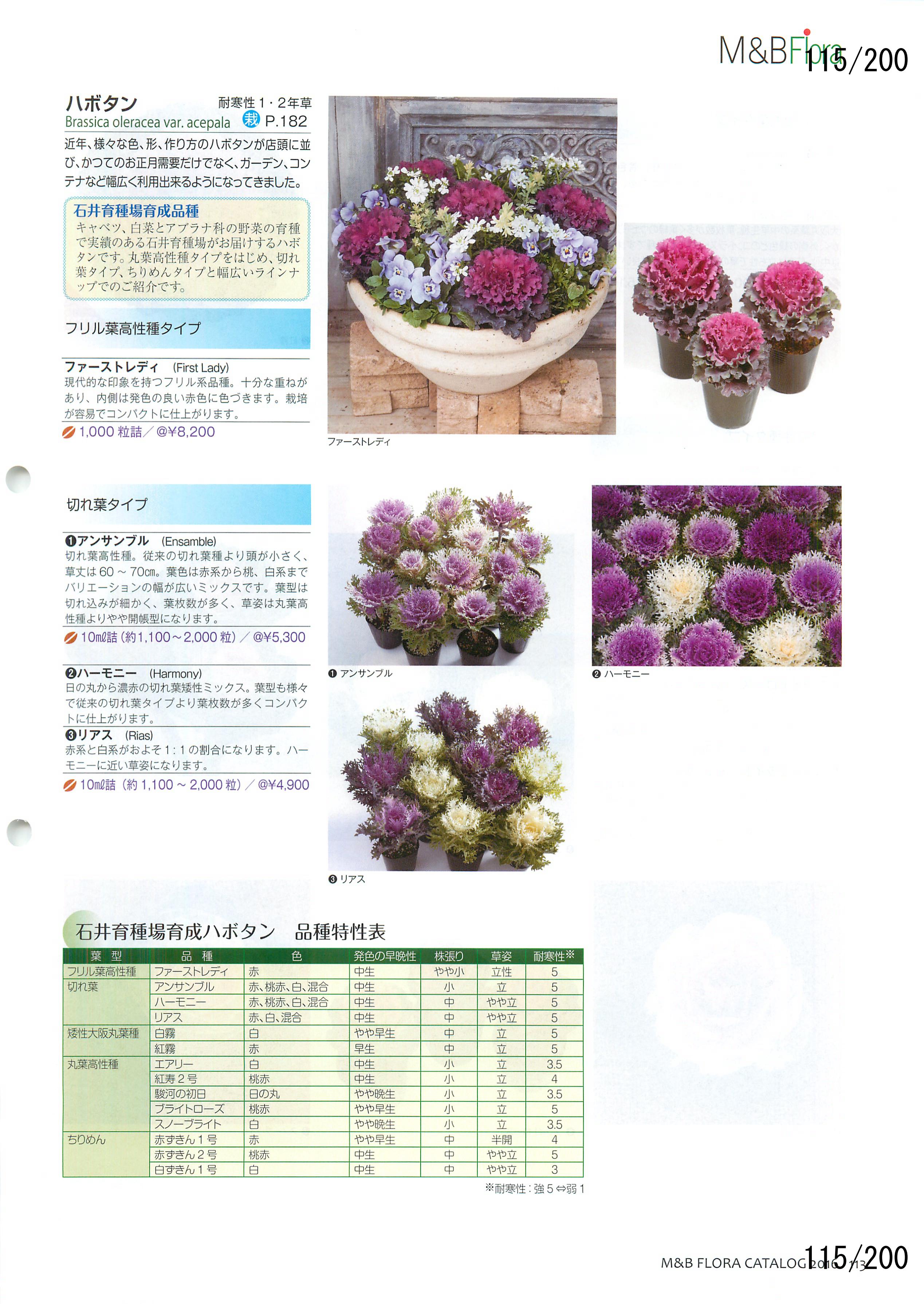 M&B Flora Vol.20F115y[W