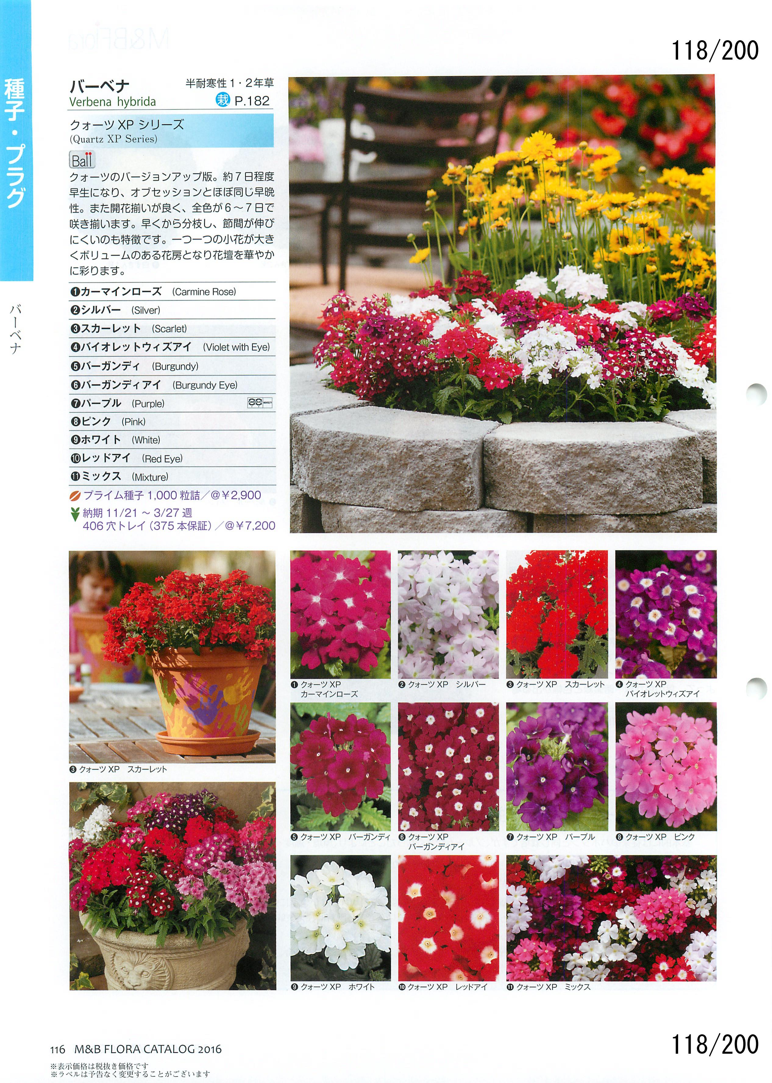 M&B Flora Vol.20F118y[W