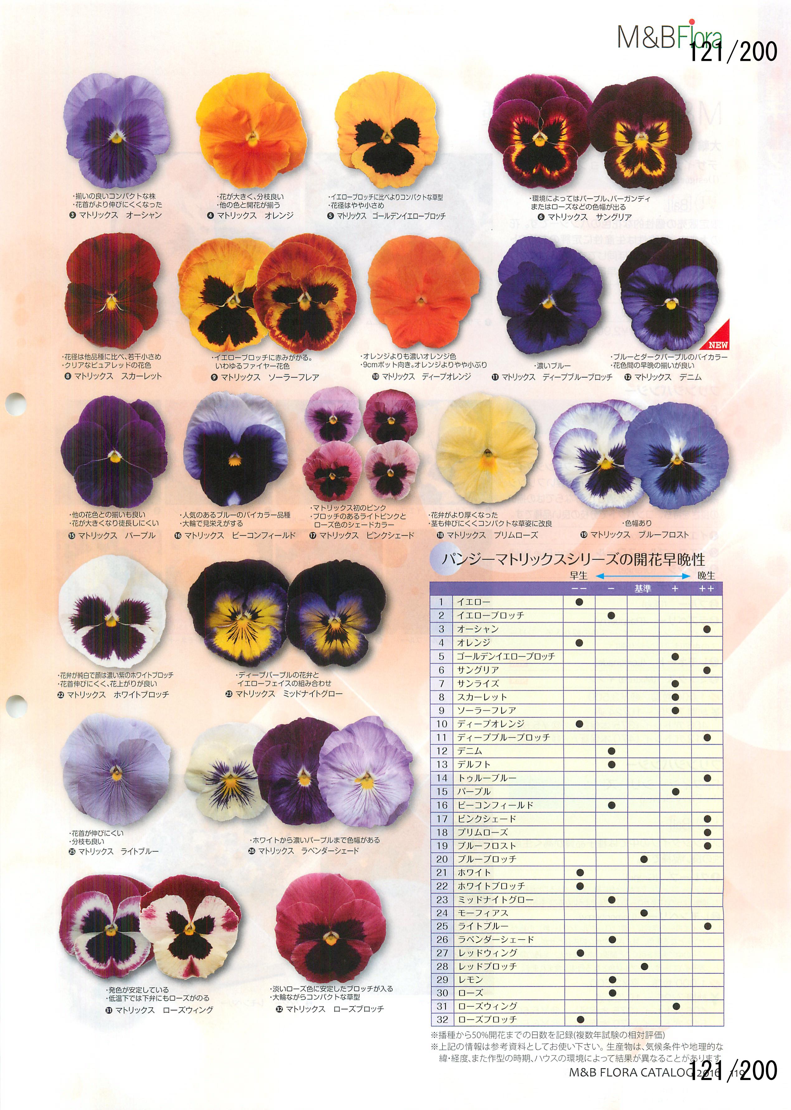 M&B Flora Vol.20F121y[W