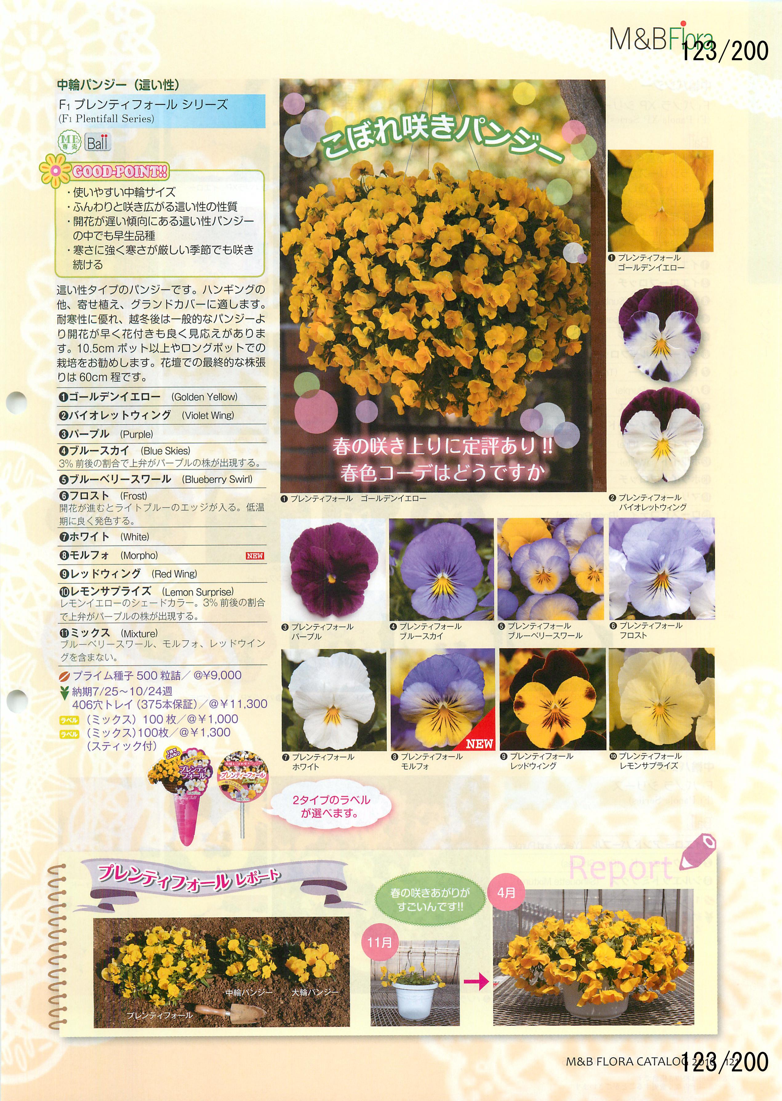 M&B Flora Vol.20F123y[W