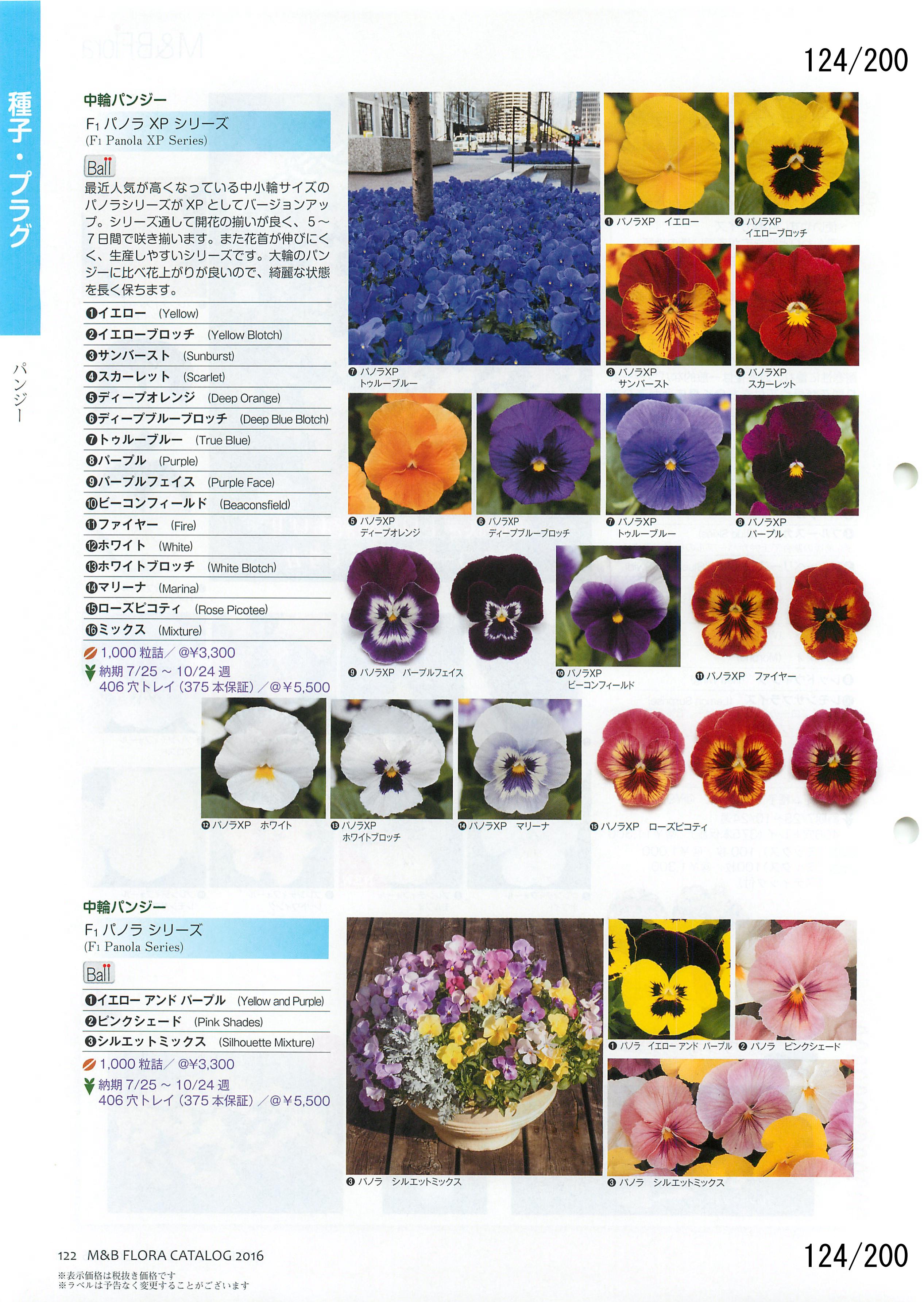 M&B Flora Vol.20F124y[W