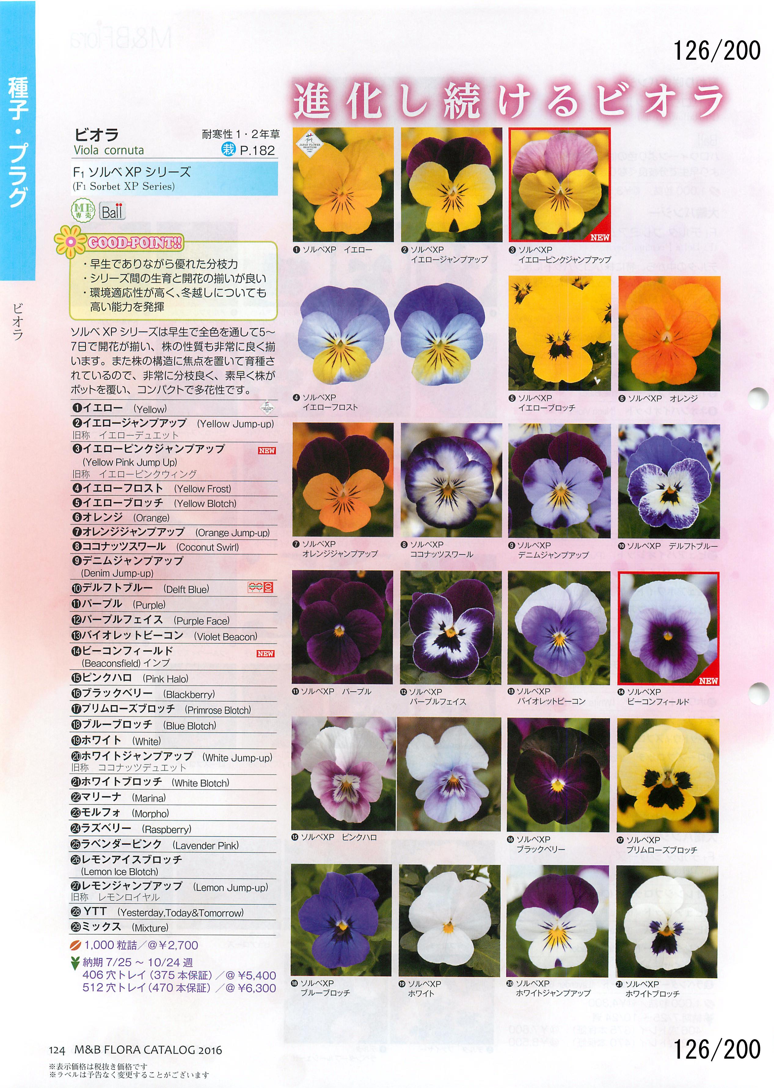M&B Flora Vol.20F126y[W