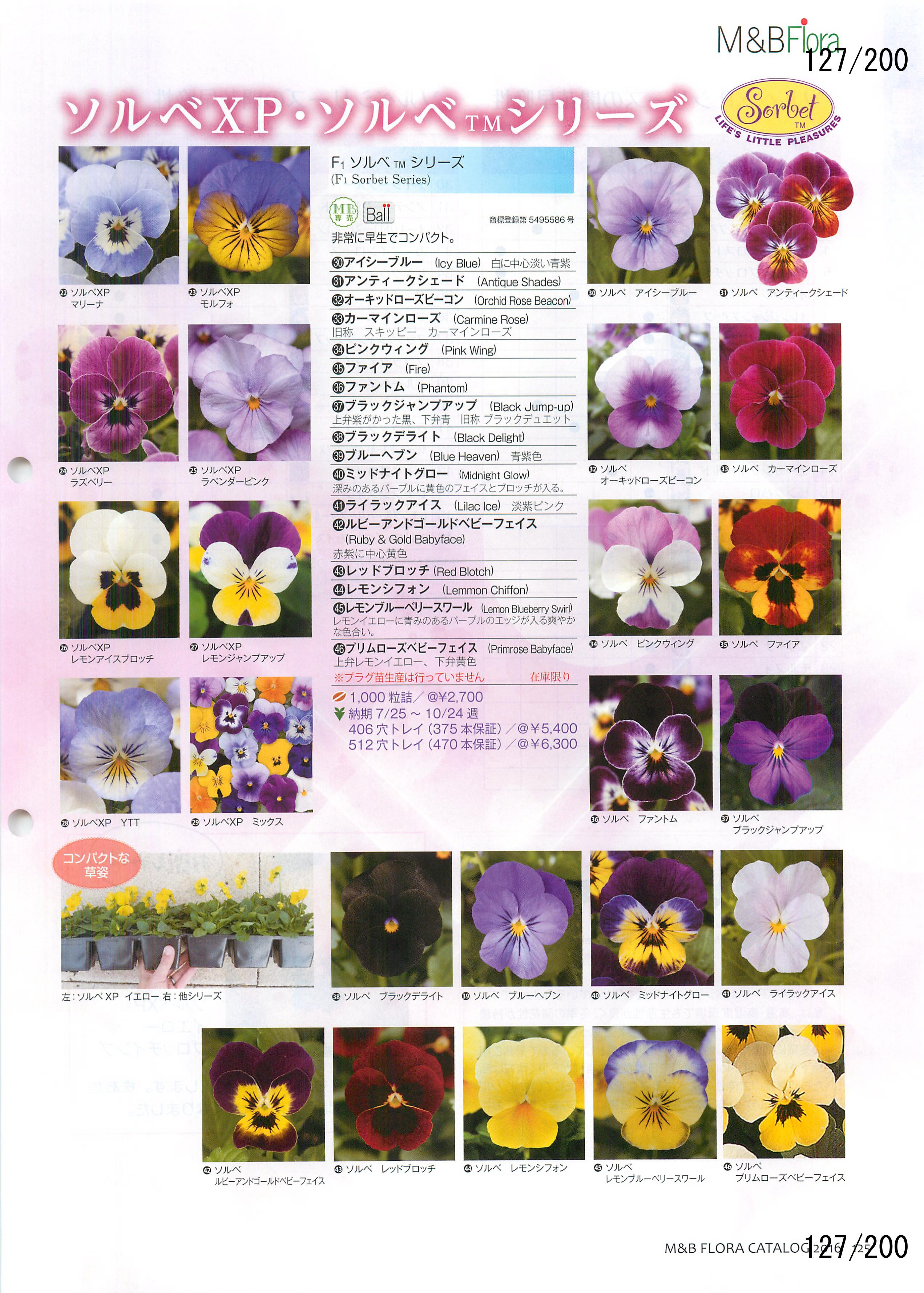M&B Flora Vol.20F127y[W
