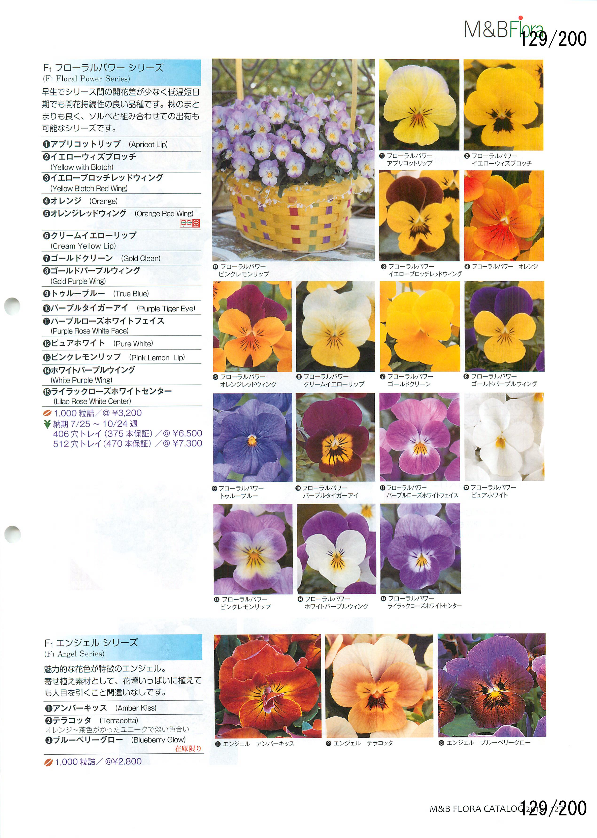 M&B Flora Vol.20F129y[W