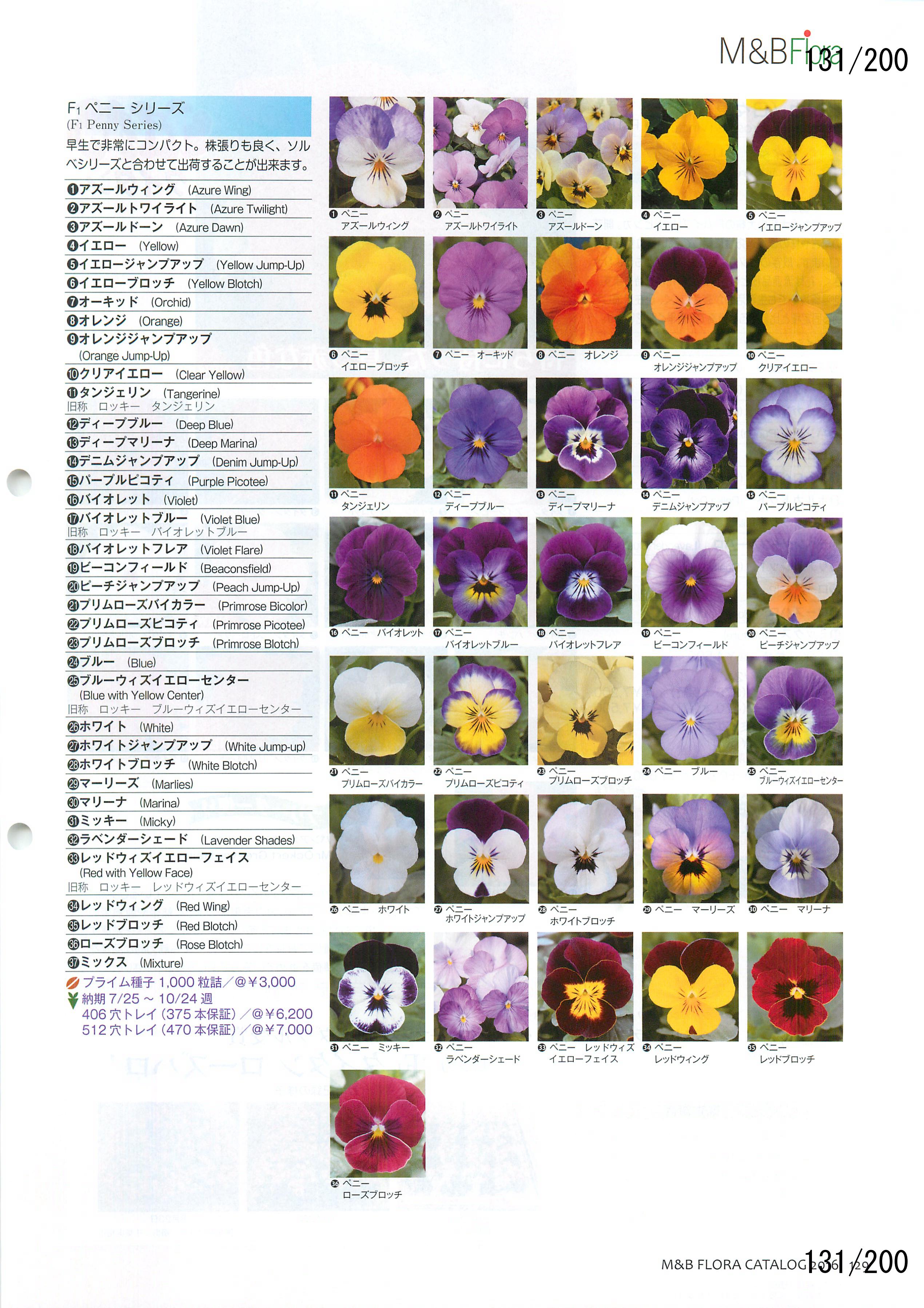 M&B Flora Vol.20F131y[W