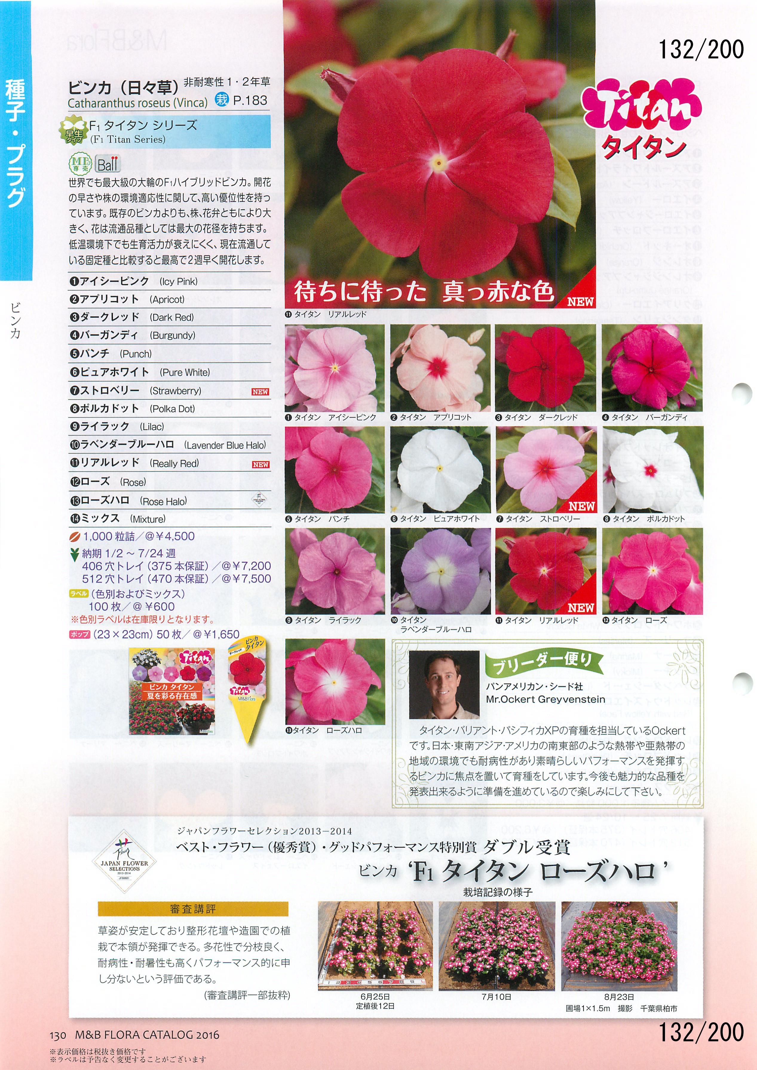 M&B Flora Vol.20F132y[W
