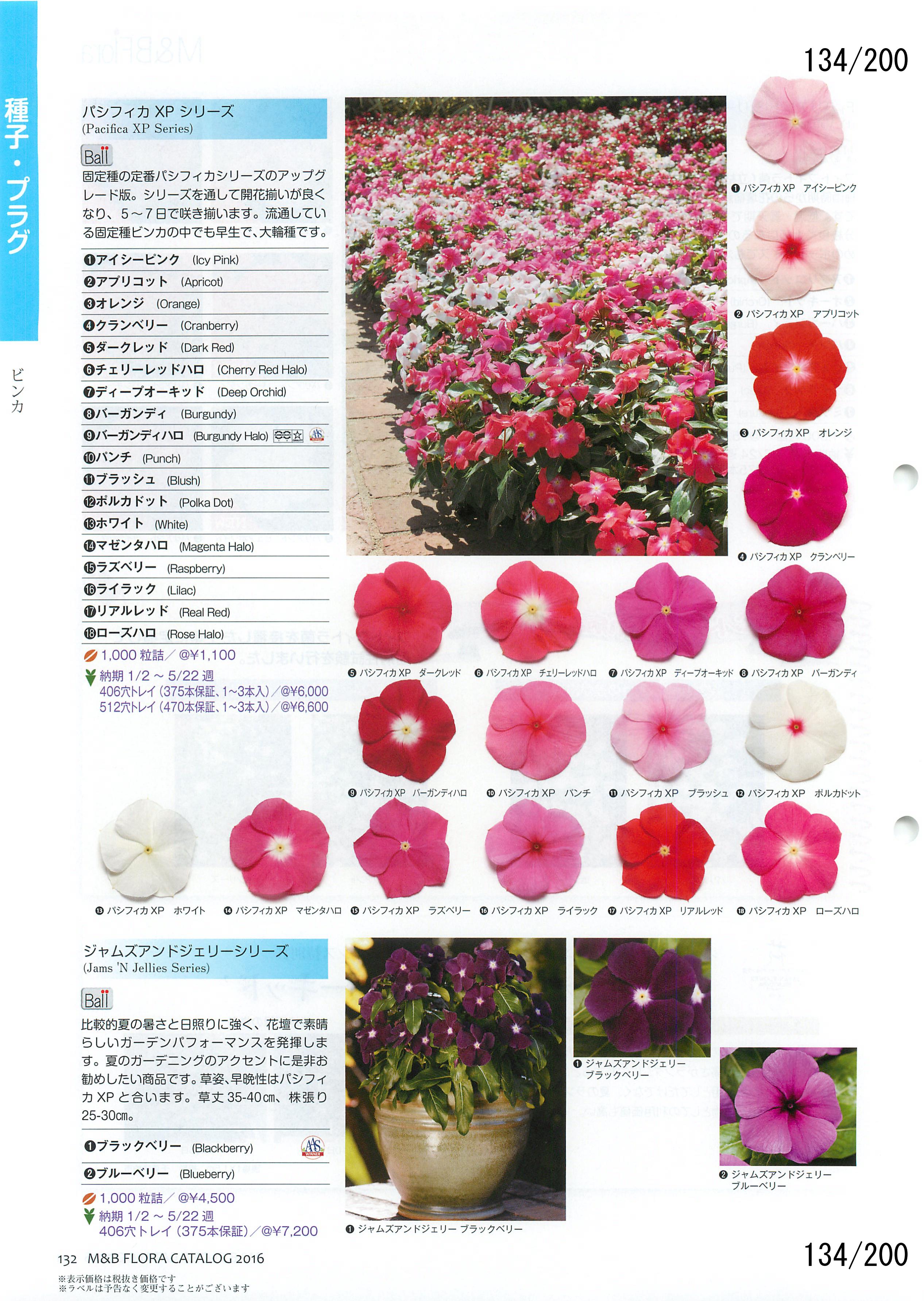 M&B Flora Vol.20F134y[W