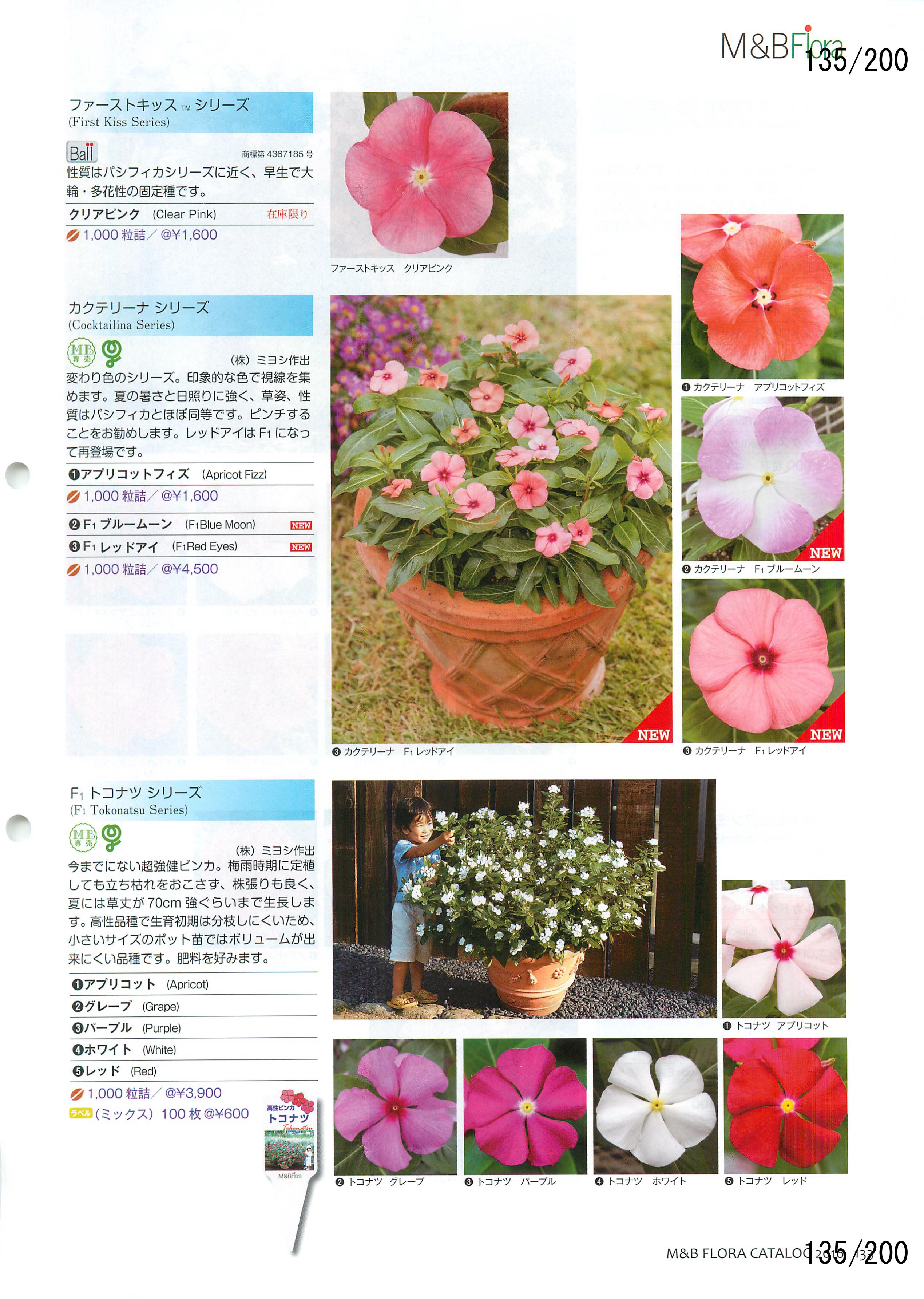 M&B Flora Vol.20F135y[W
