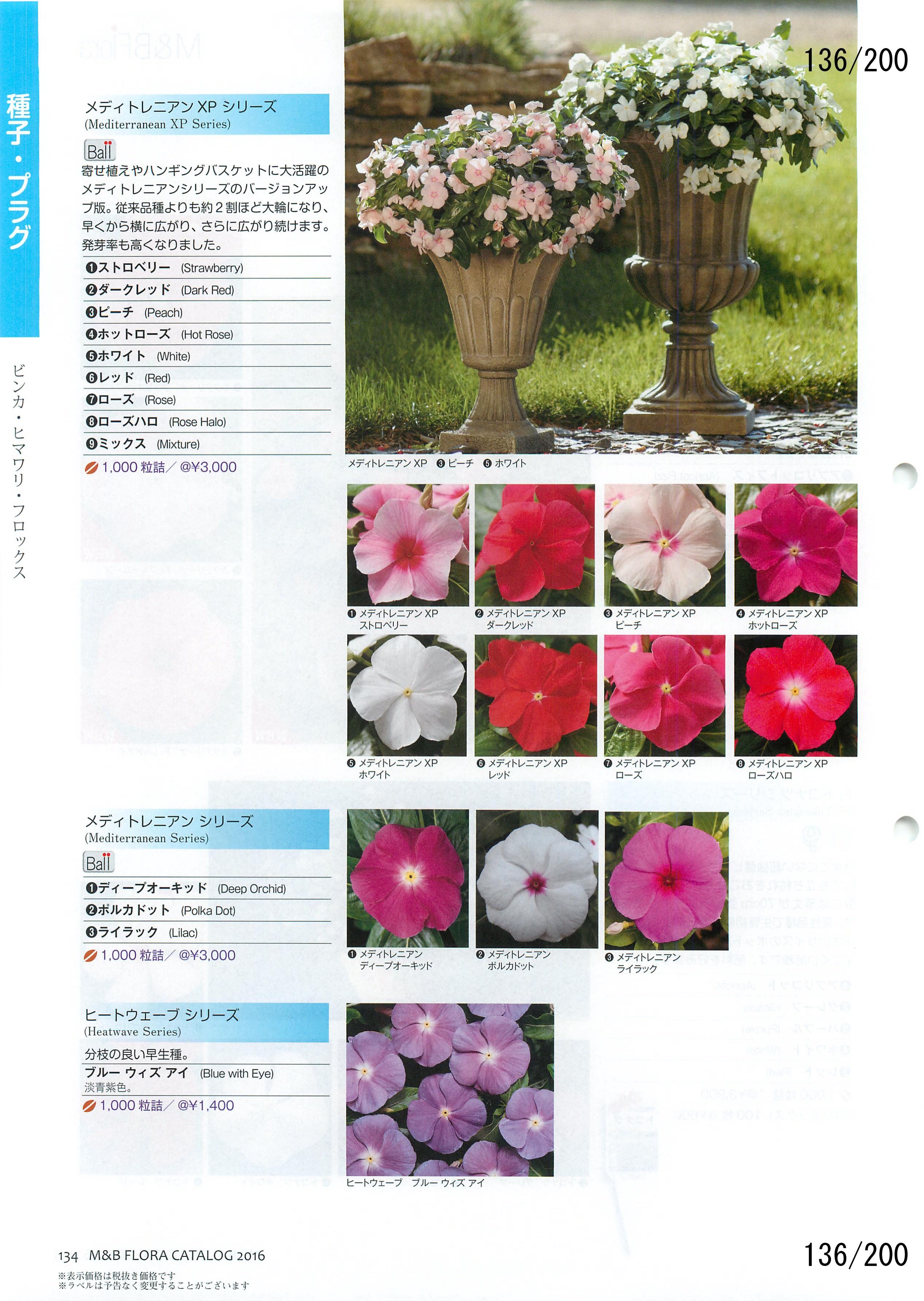 M&B Flora Vol.20F136y[W