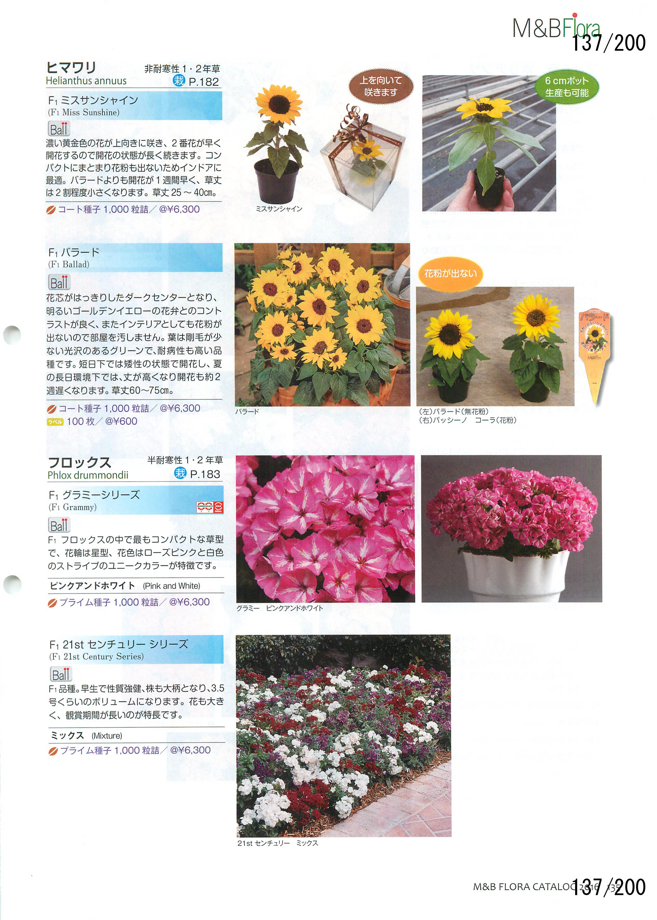 M&B Flora Vol.20F137y[W