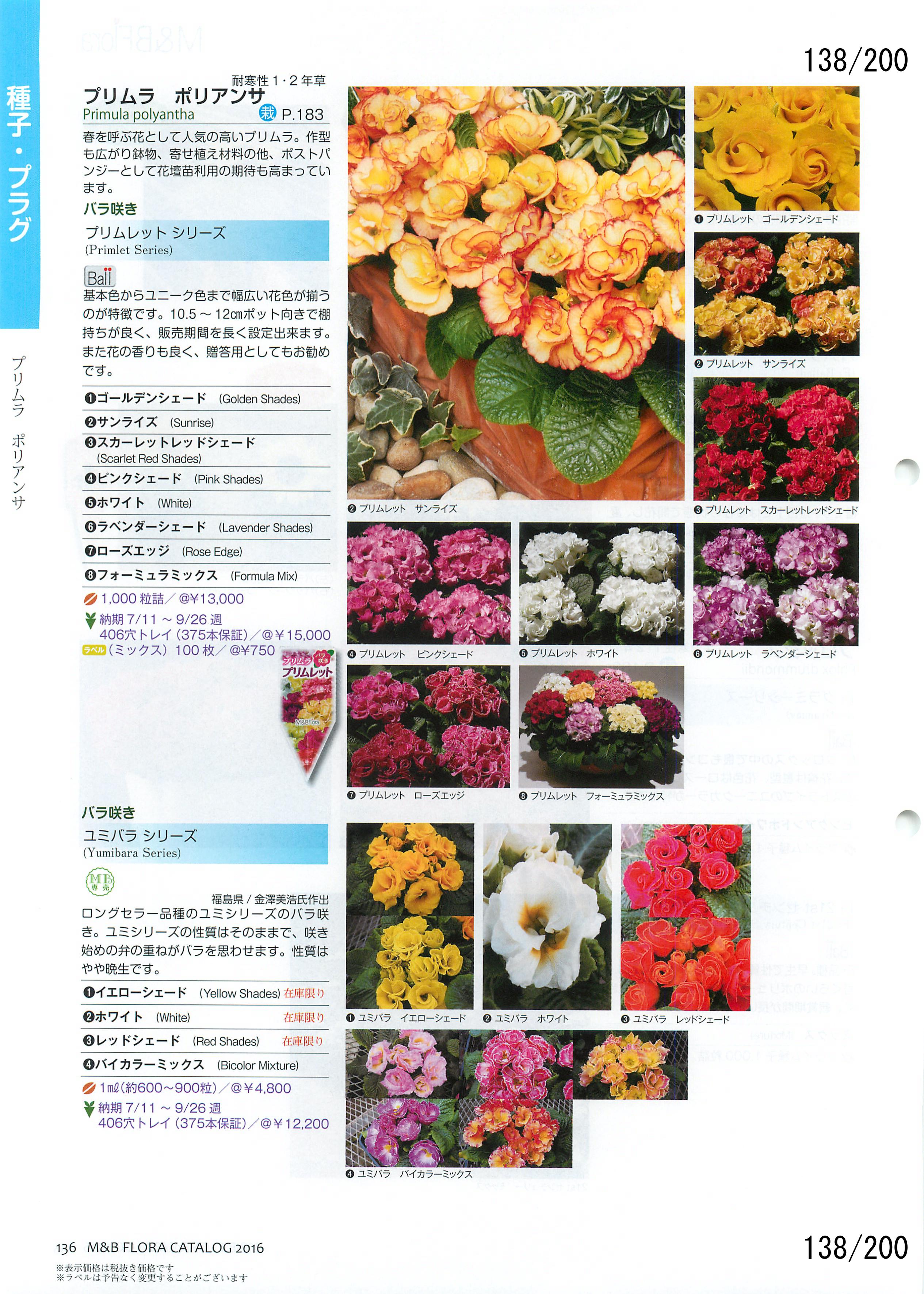 M&B Flora Vol.20F138y[W