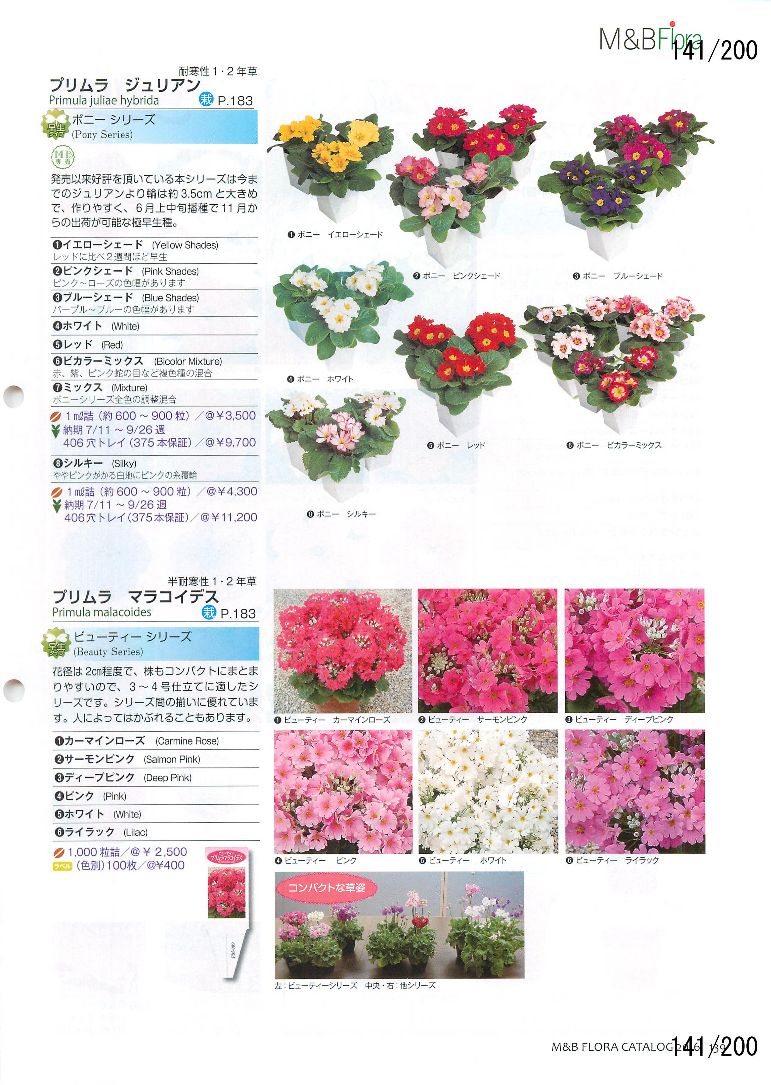 M&B Flora Vol.20F141y[W