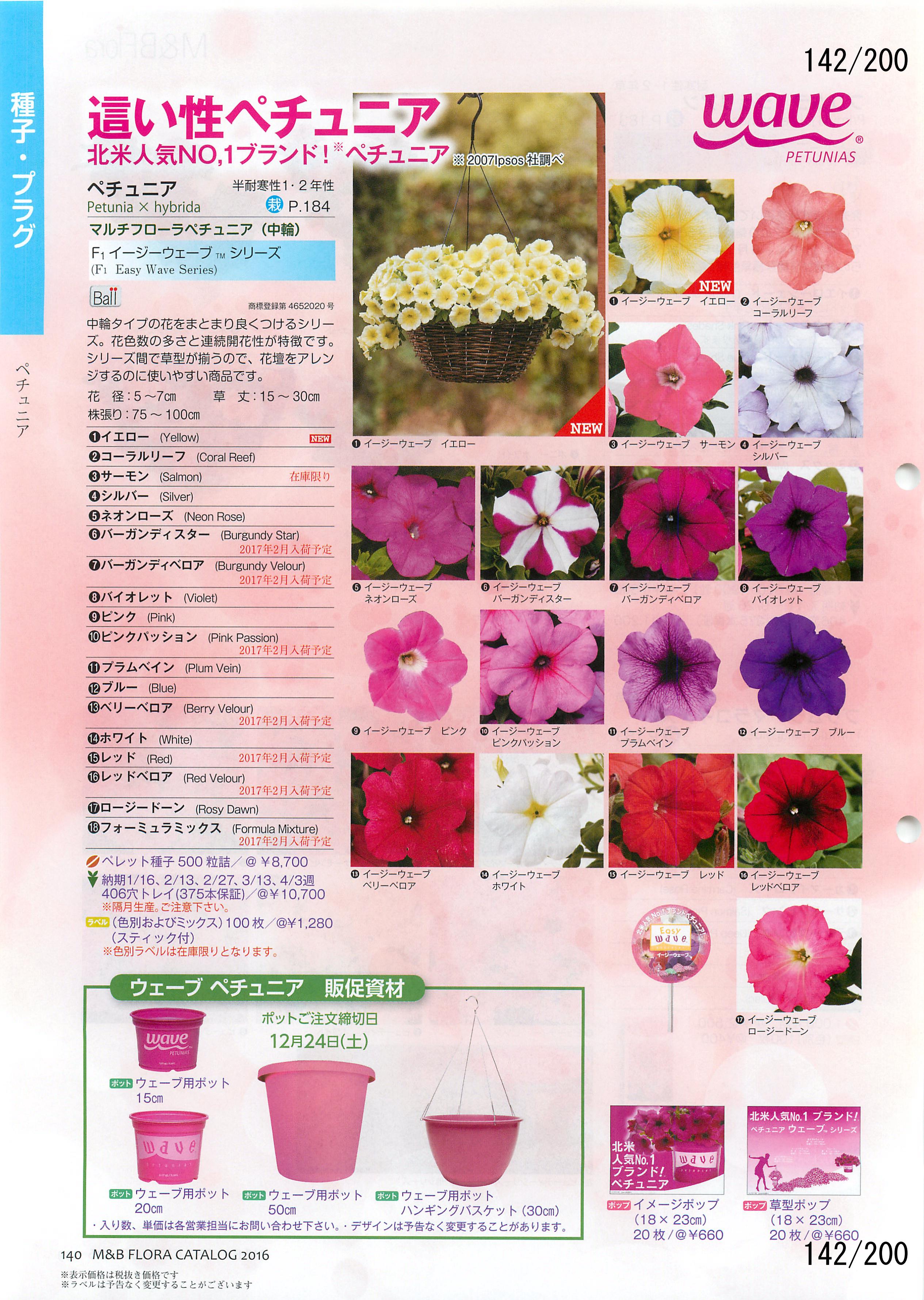 M&B Flora Vol.20F142y[W