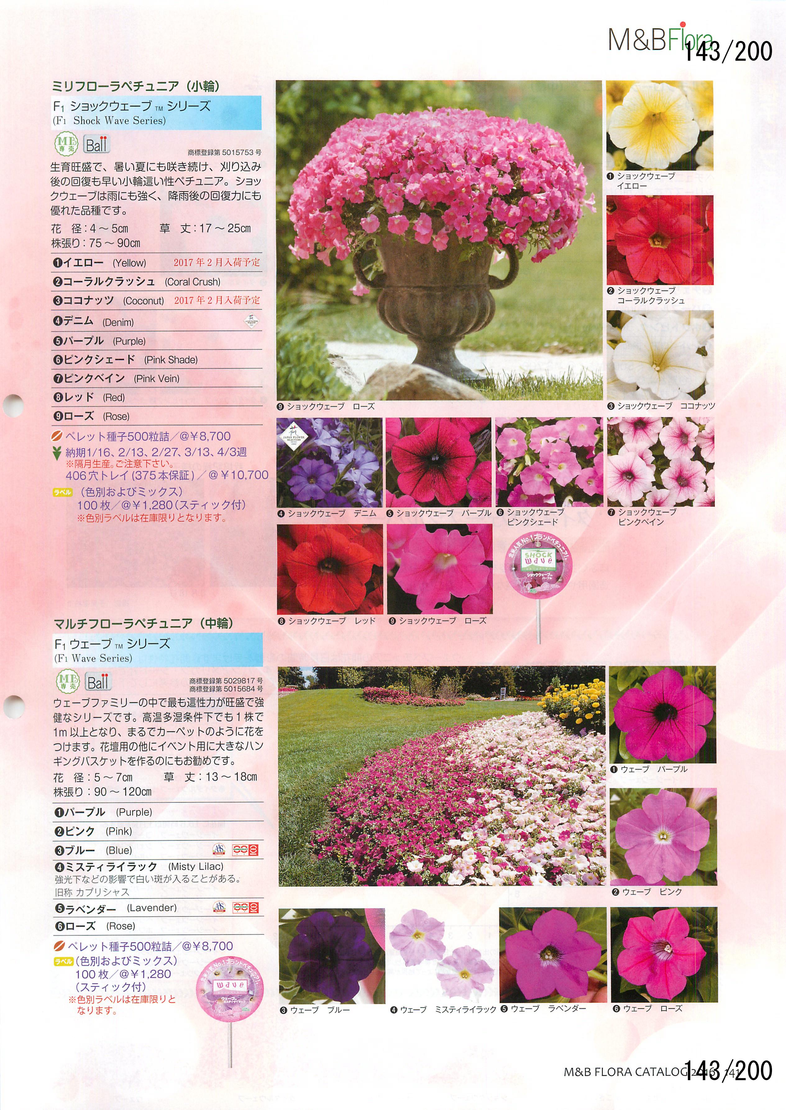 M&B Flora Vol.20F143y[W