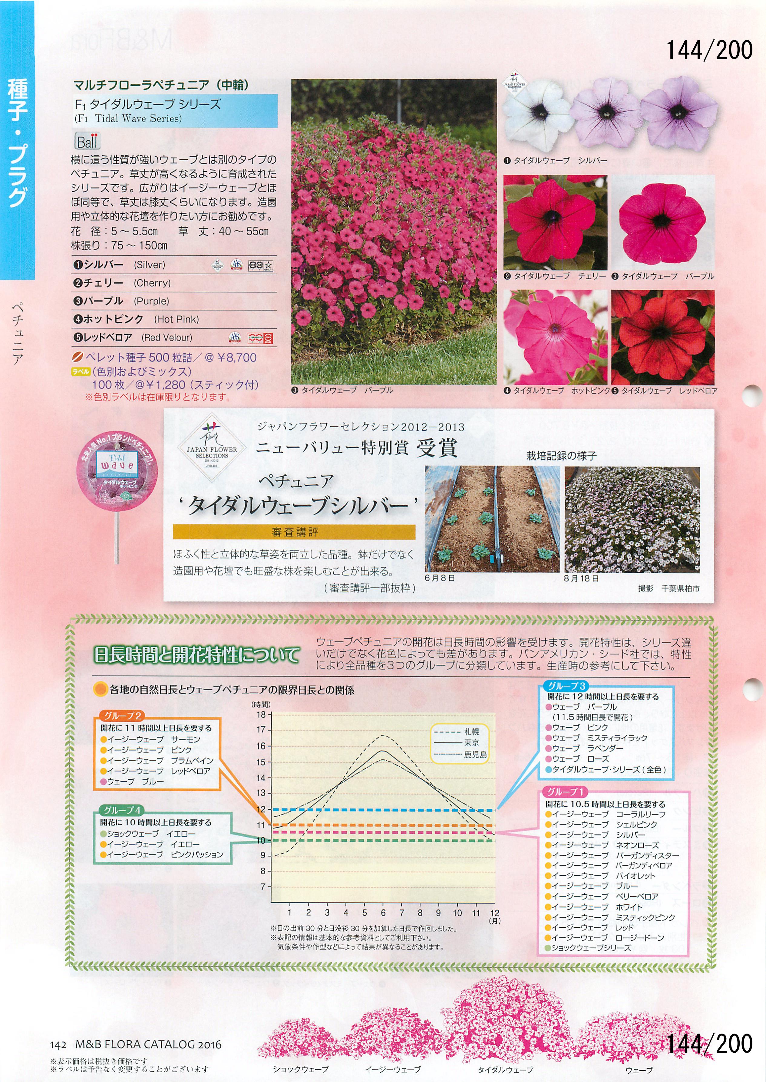 M&B Flora Vol.20F144y[W