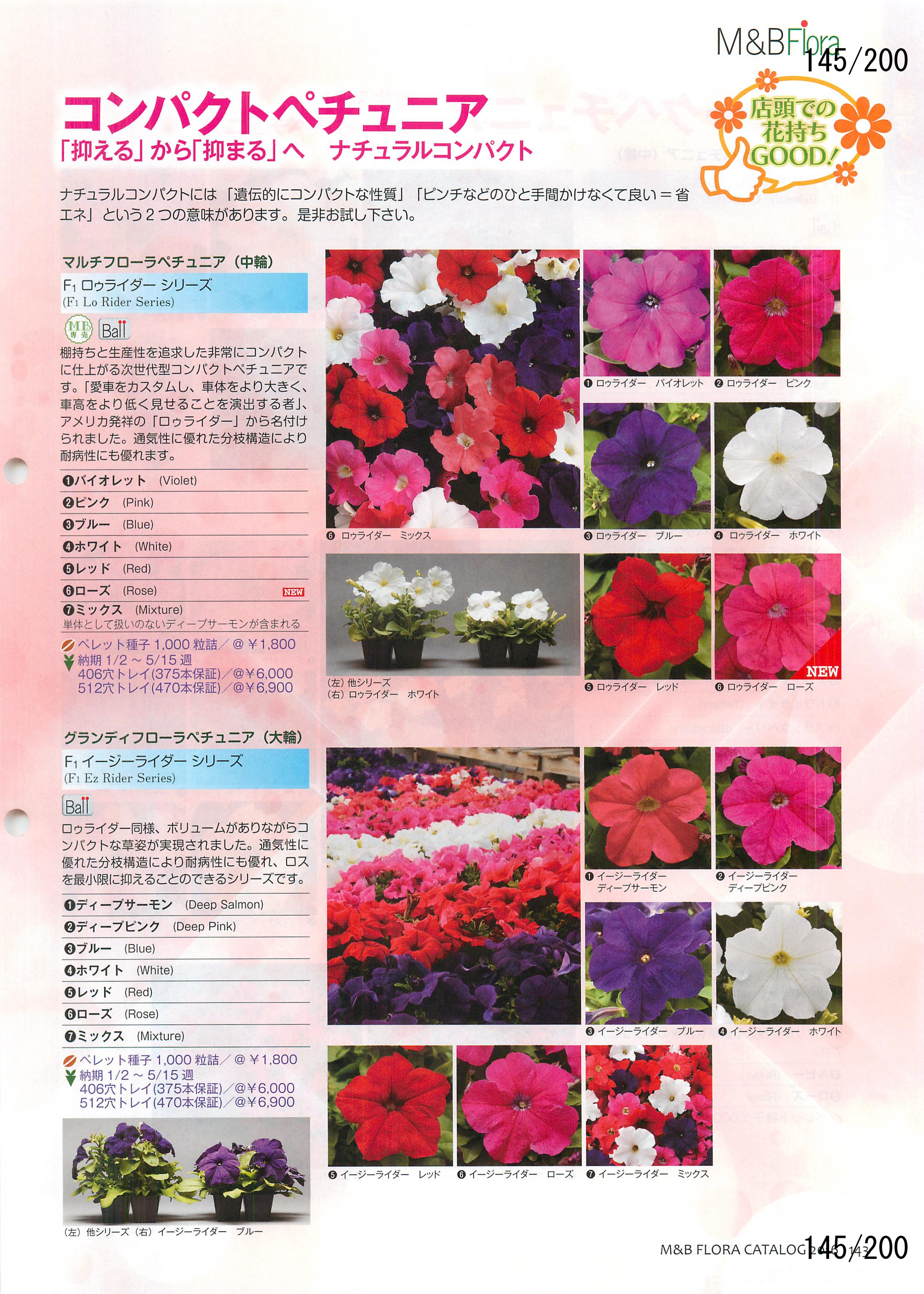 M&B Flora Vol.20F145y[W