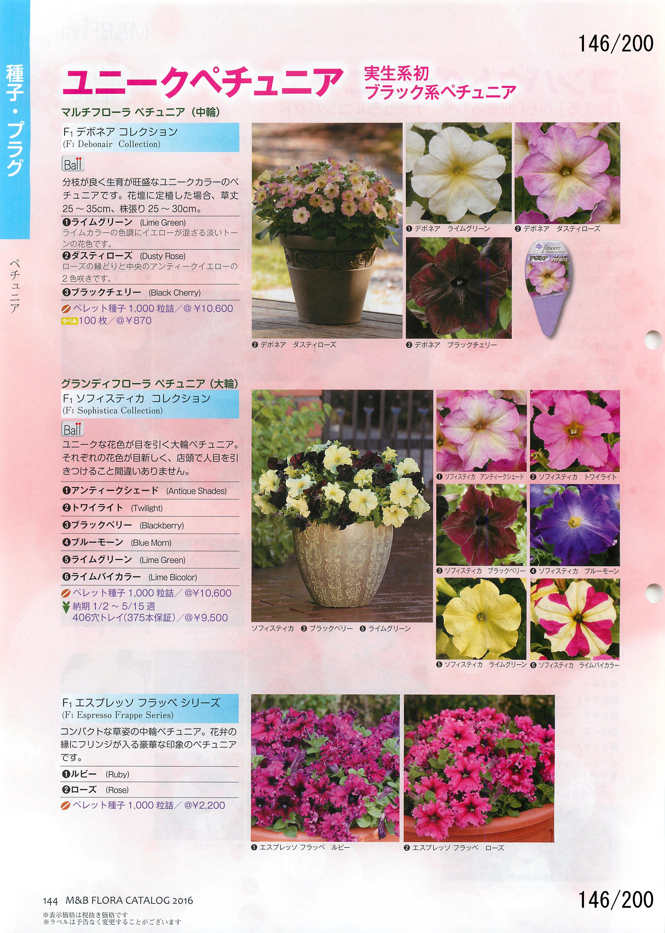 M&B Flora Vol.20F146y[W