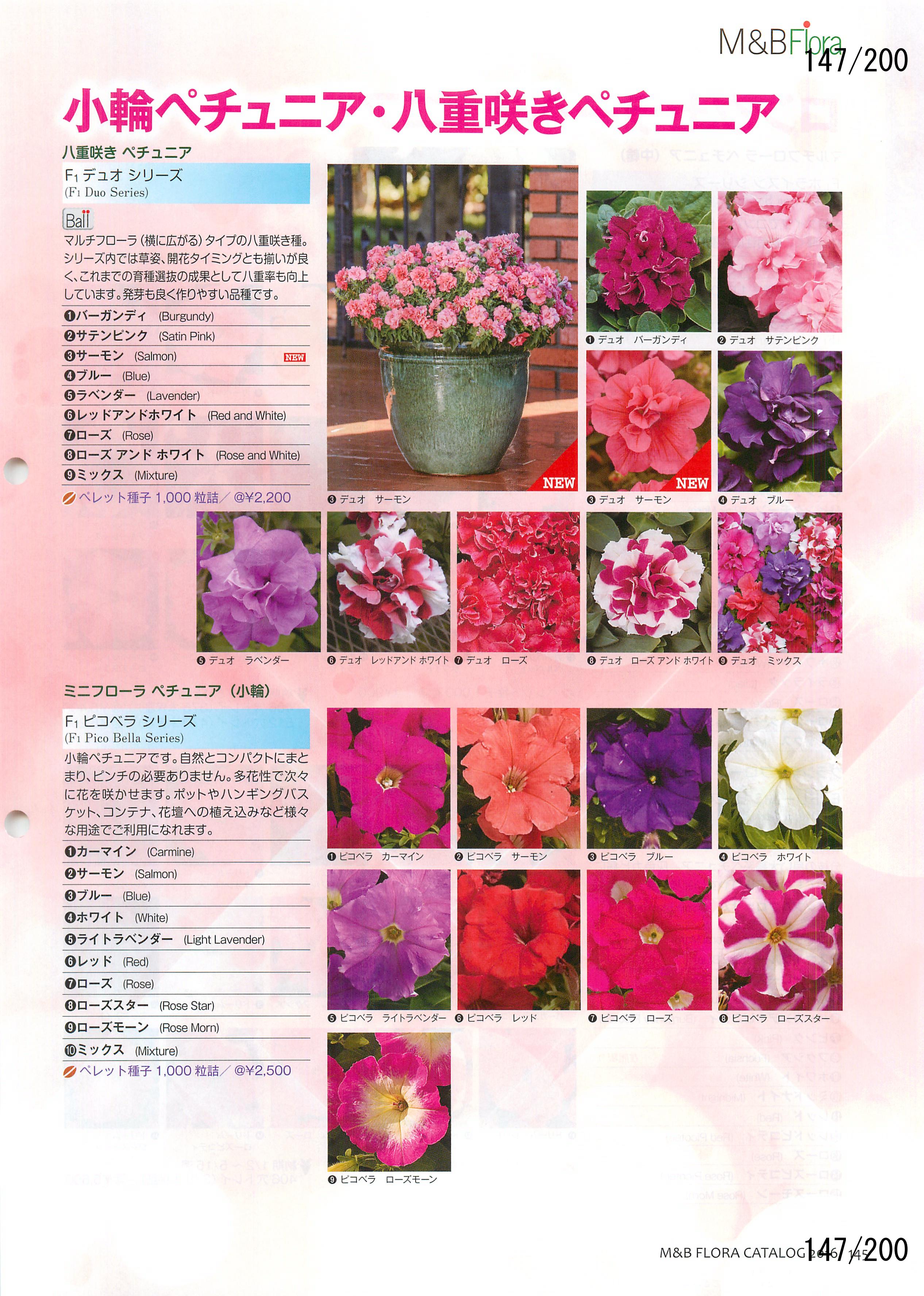 M&B Flora Vol.20F147y[W