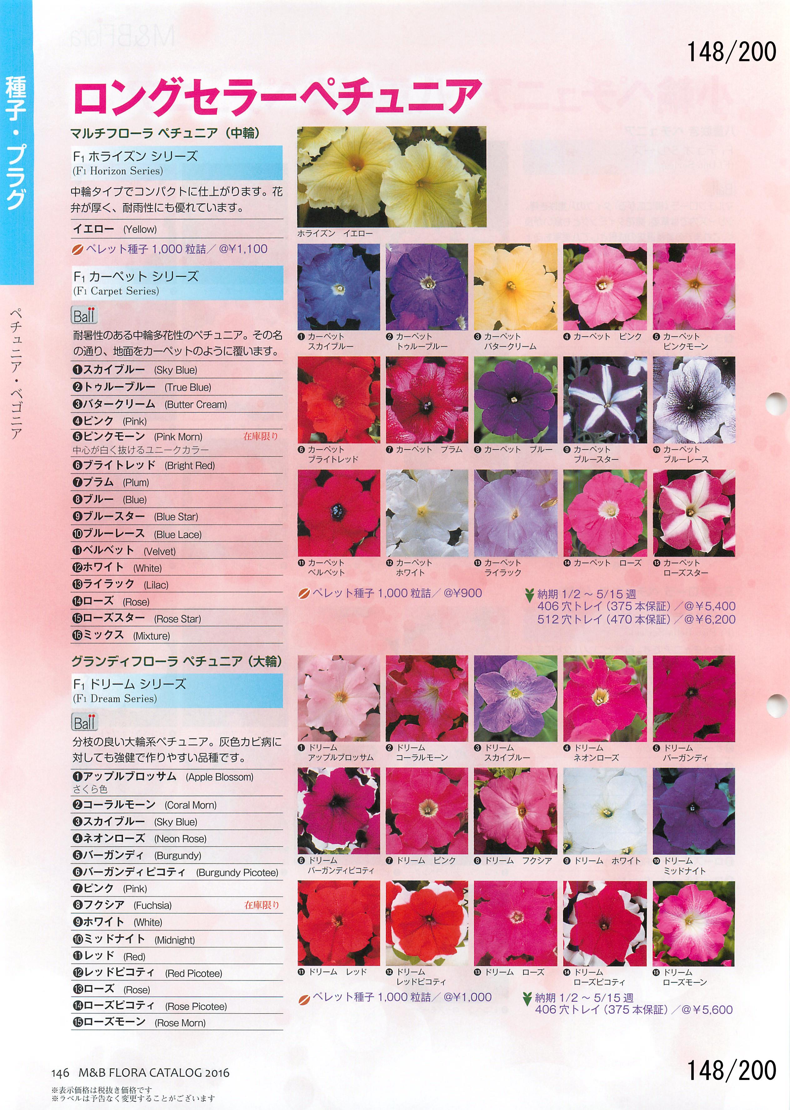 M&B Flora Vol.20F148y[W