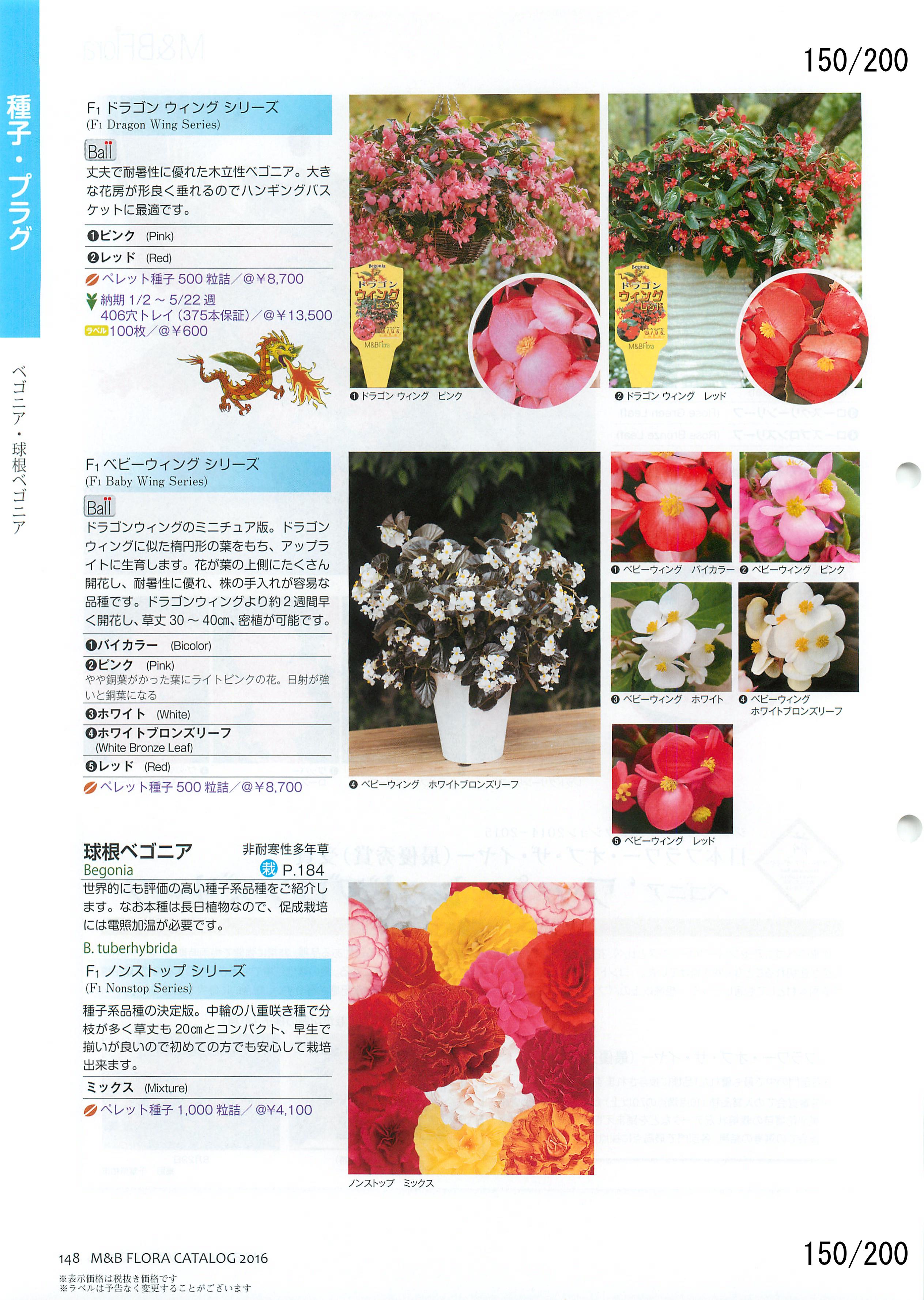M&B Flora Vol.20F150y[W