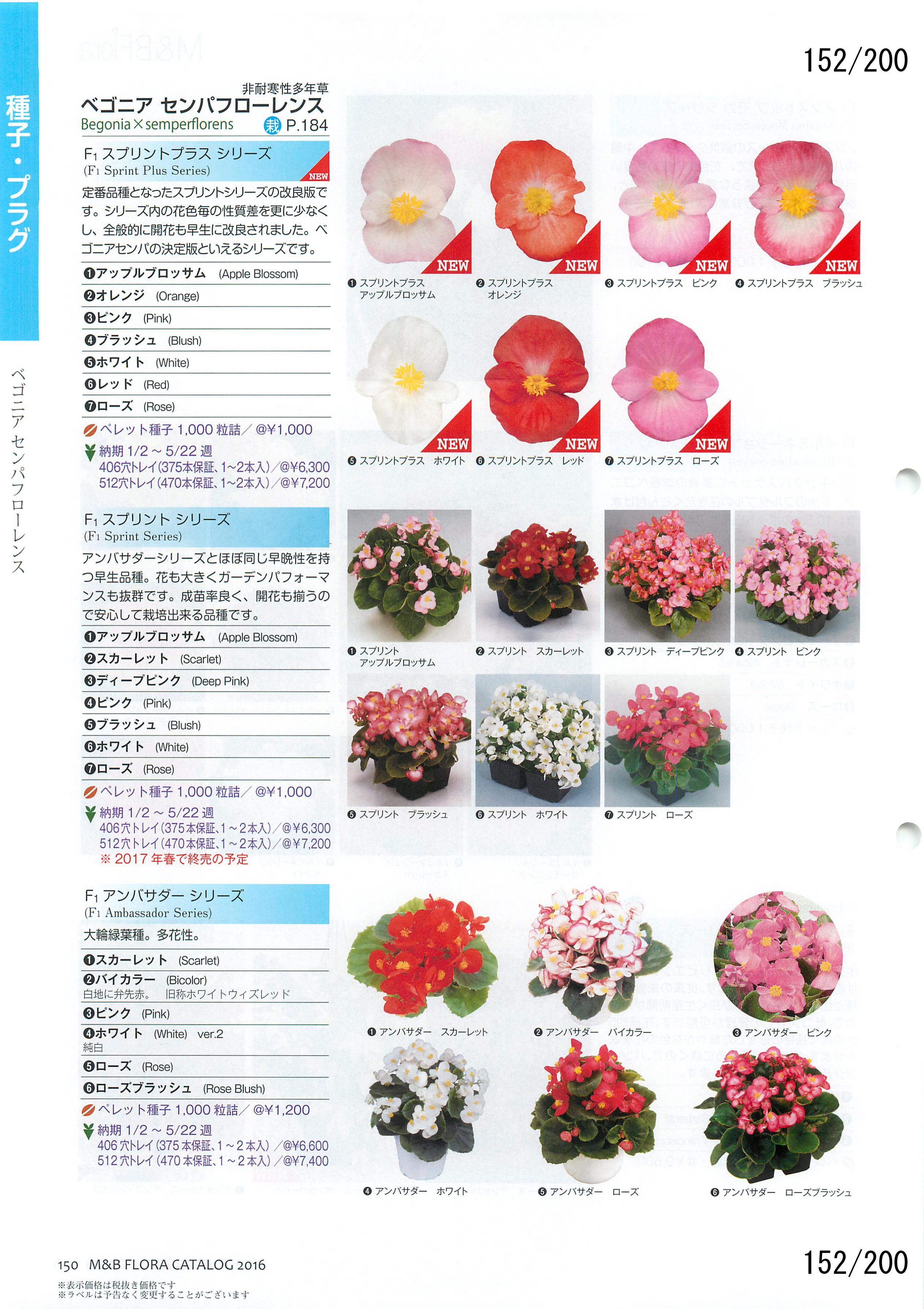 M&B Flora Vol.20F152y[W