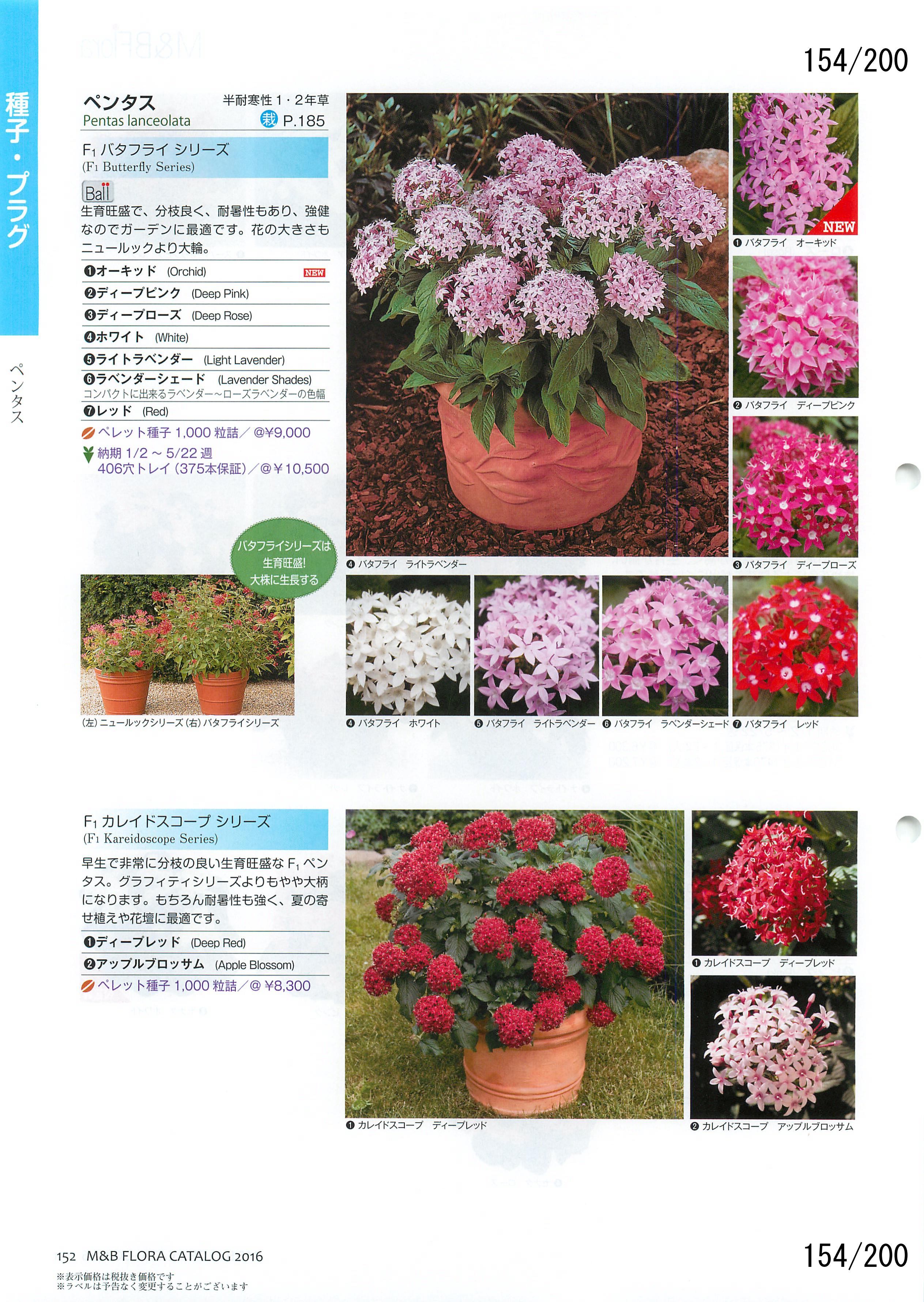 M&B Flora Vol.20F154y[W
